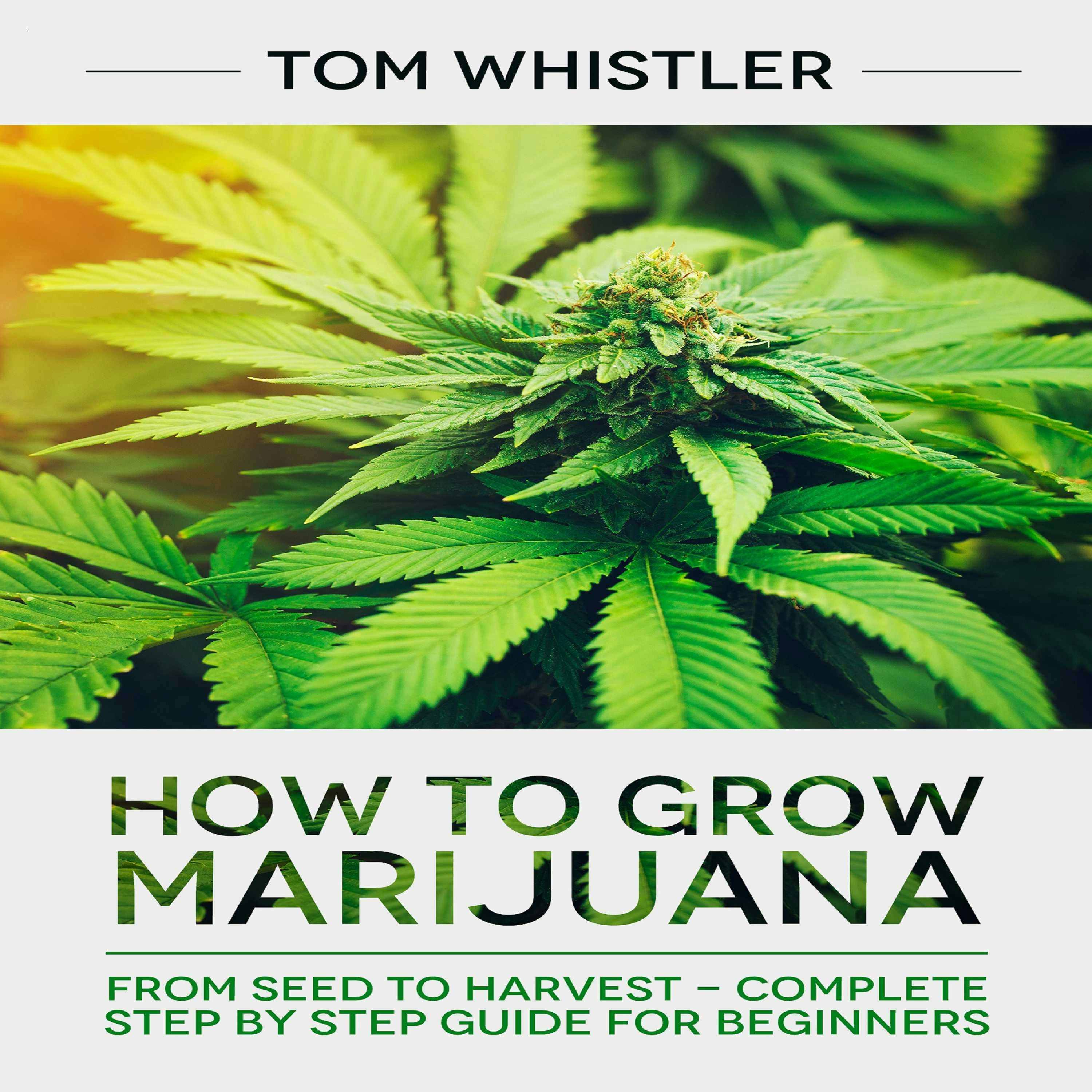 How to Grow Marijuana: From Seed to Harvest - Complete Step by Step Guide for Beginners - undefined