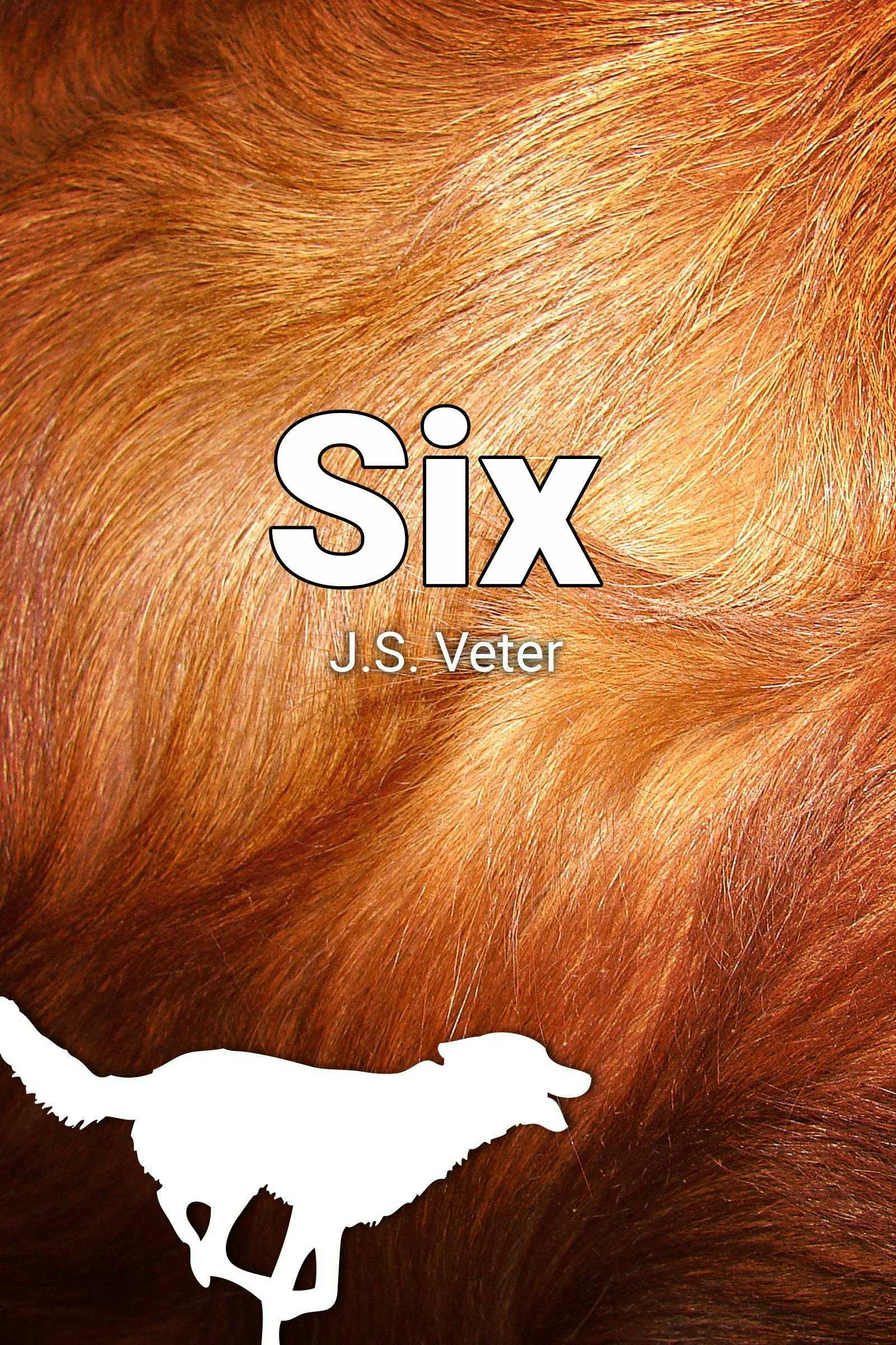 Six - J.S. Veter