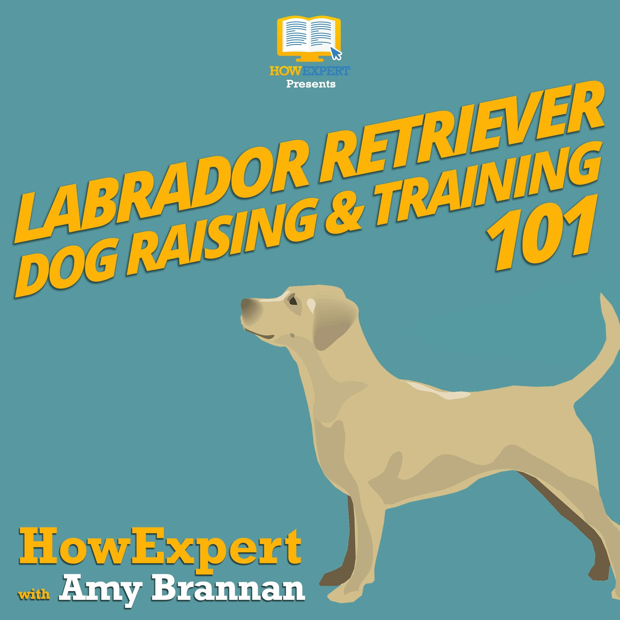 Labrador Retriever Dog Raising & Training 101 - Amy Brannan, HowExpert