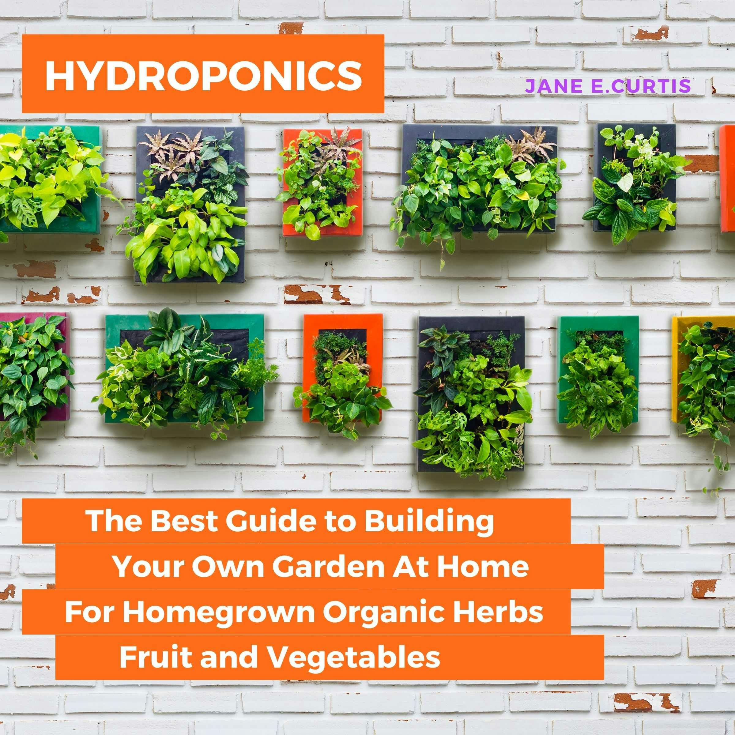 Hydroponics: The Best Guide to Building Your Own Garden At Home For Homegrown Organic Herbs, Fruit and Vegetables - Jane E. Curtis