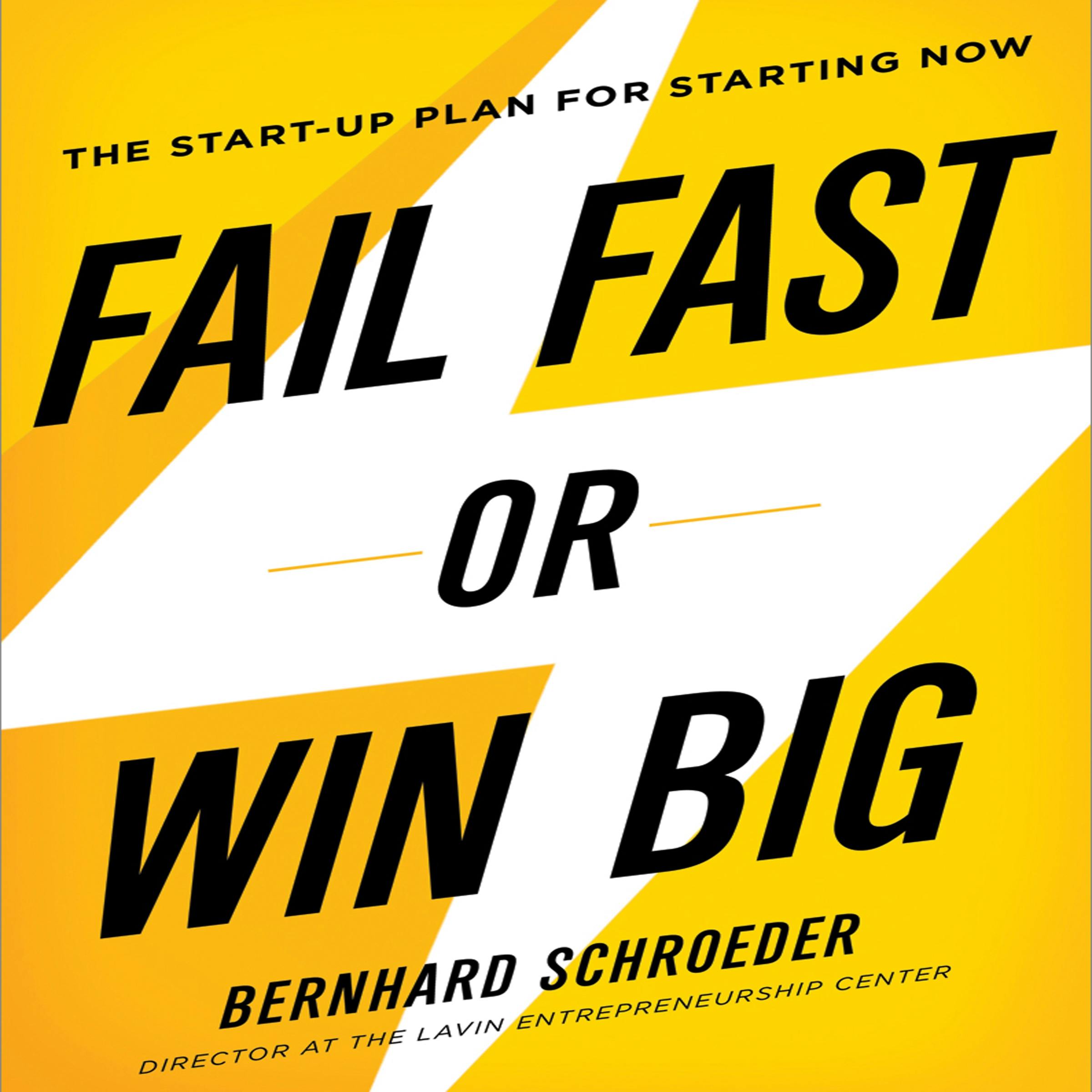 Fail Fast or Win Big: The Start-up Plan for Starting Now - Bernhard Schroeder