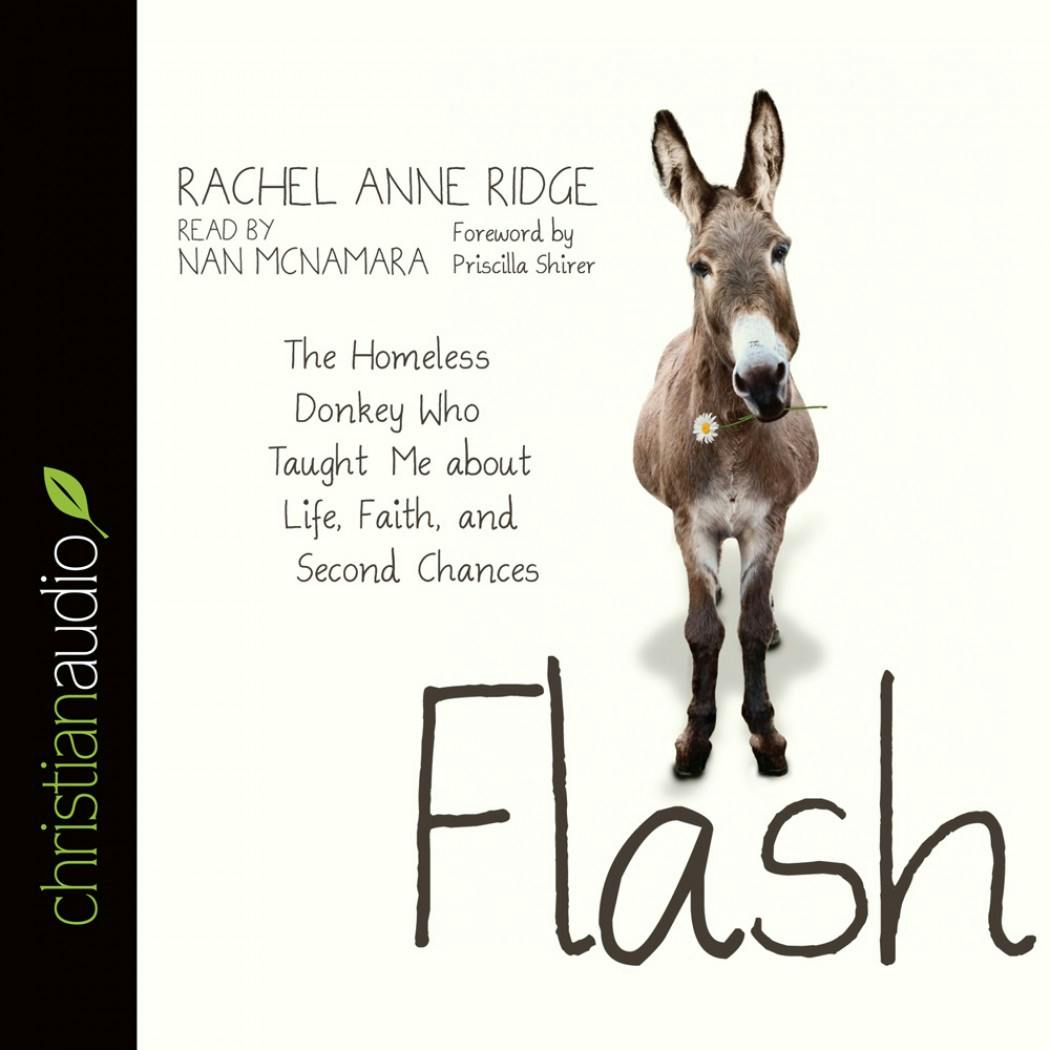 Flash: The Homeless Donkey Who Taught Me About Life, Faith, and Second Chances - Priscilla Shirer, Rachel Anne Ridge