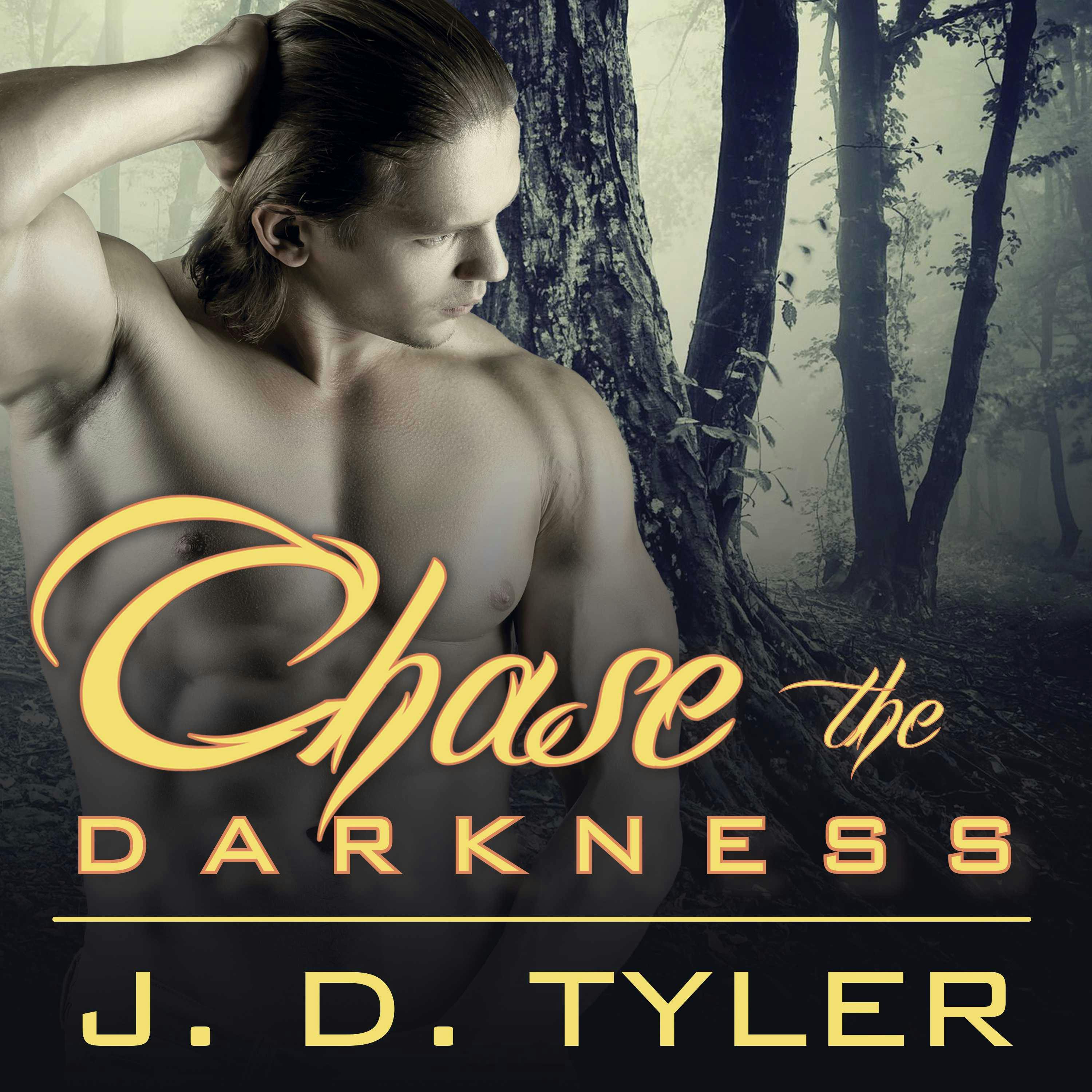 Chase the Darkness - J. D. Tyler