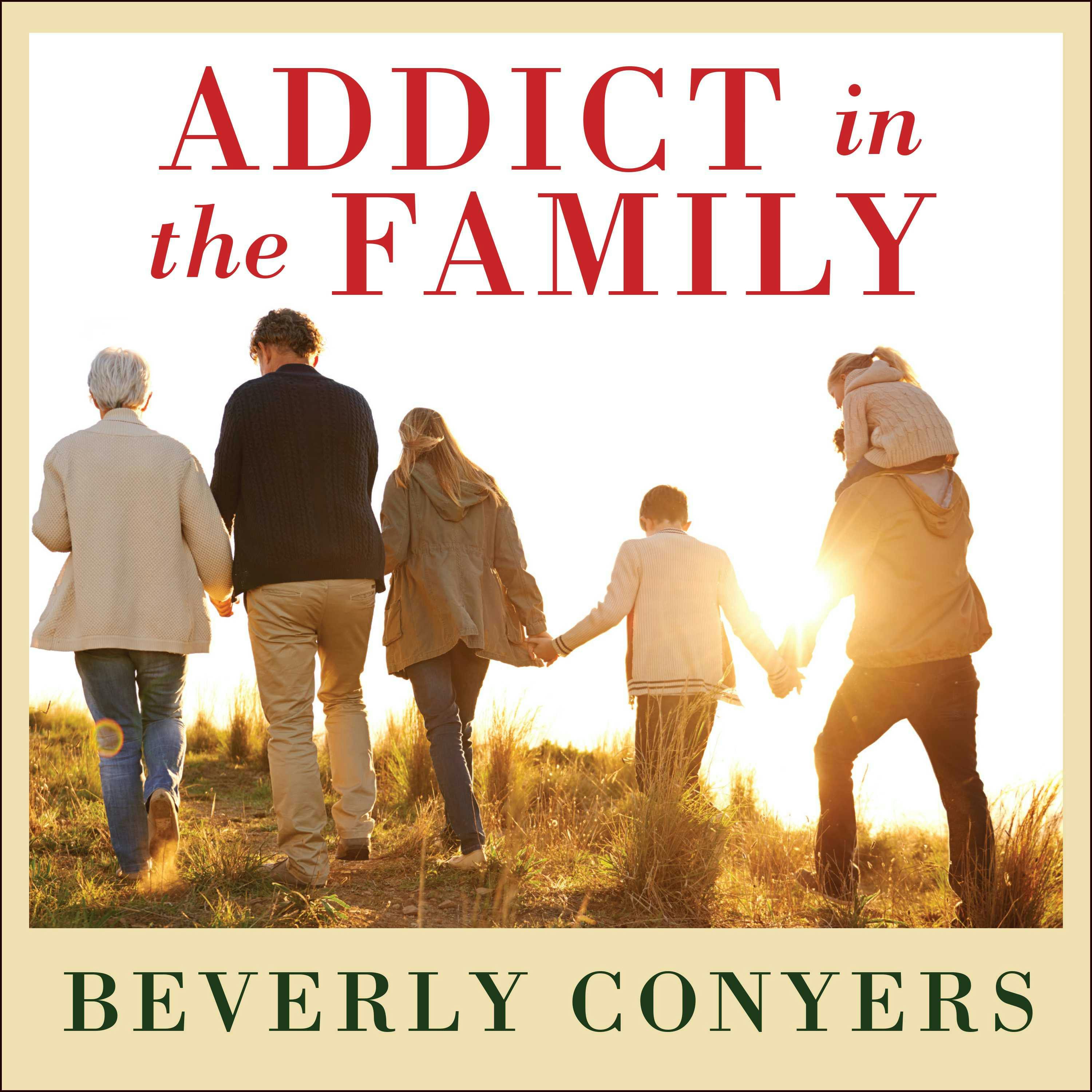 Addict In The Family: Stories of Loss, Hope, and Recovery - undefined