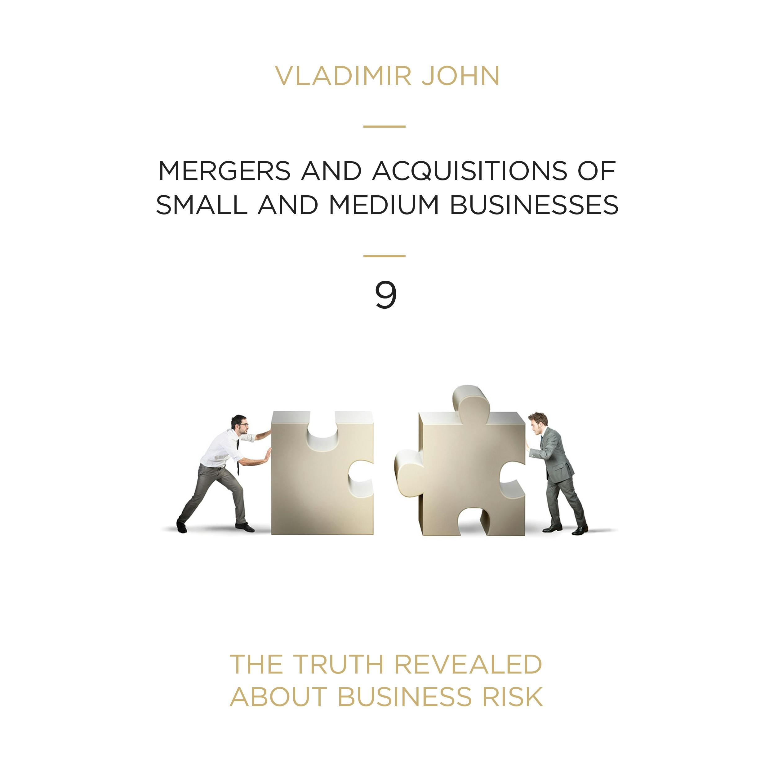 Mergers and Acqusitions of Small and Medium Businesses - Vladimir John