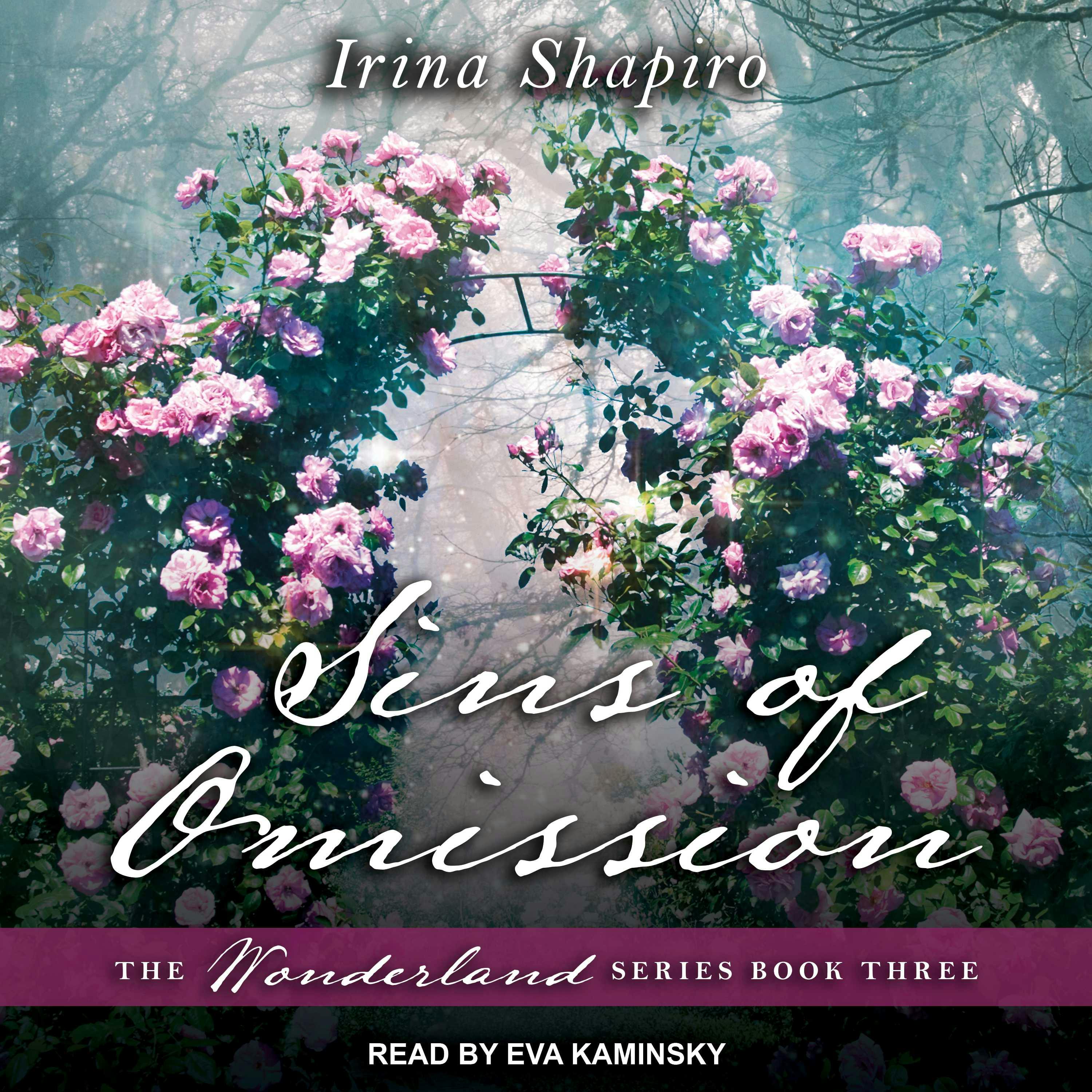 Sins of Omission - Irina Shapiro
