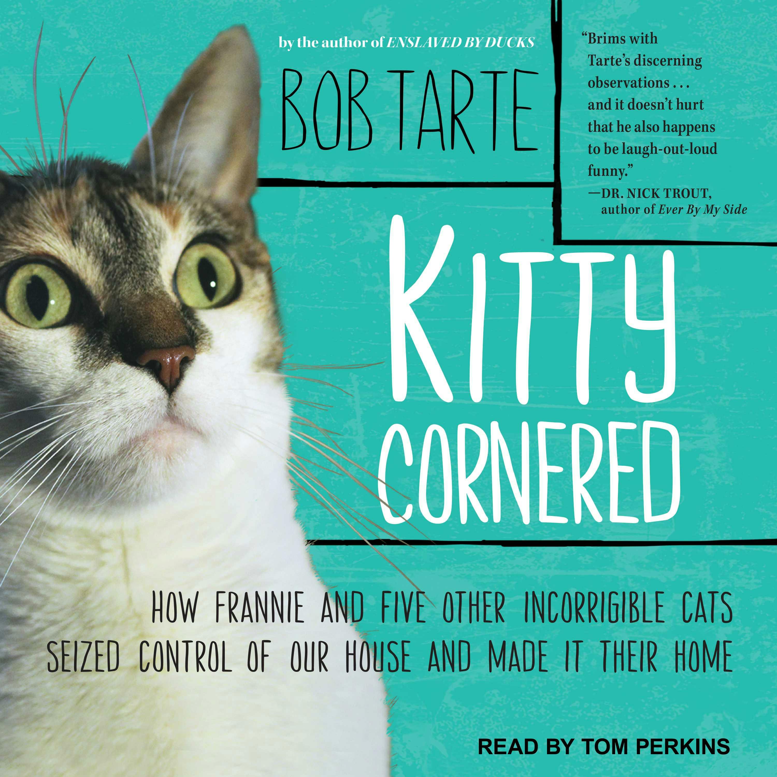 Kitty Cornered: How Frannie and Five Other Incorrigible Cats Seized Control of Our House and Made It Their Home - Bob Tarte