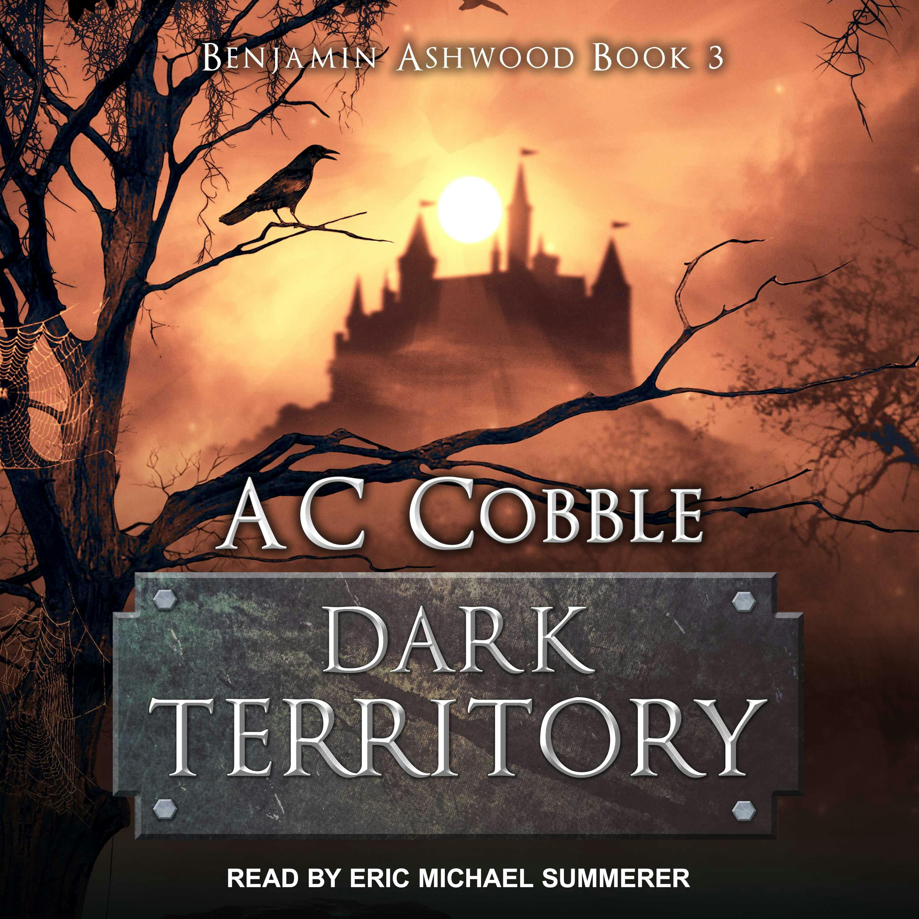 Dark Territory - A. C. Cobble