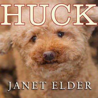 Huck: The Remarkable True Story of How One Lost Puppy Taught a Family---and a Whole Town---about Hope and Happy Endings