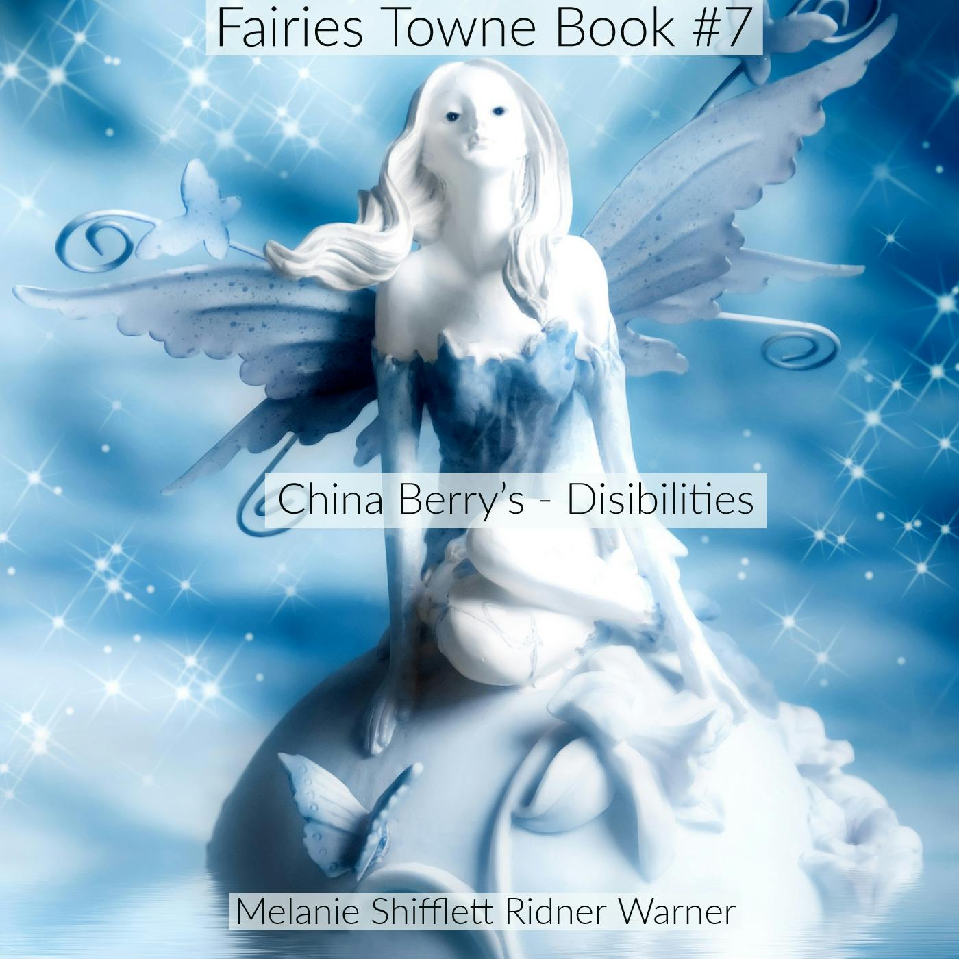 China Berry Fairies: Disabilities - Melanie Shifflett Ridner Warner