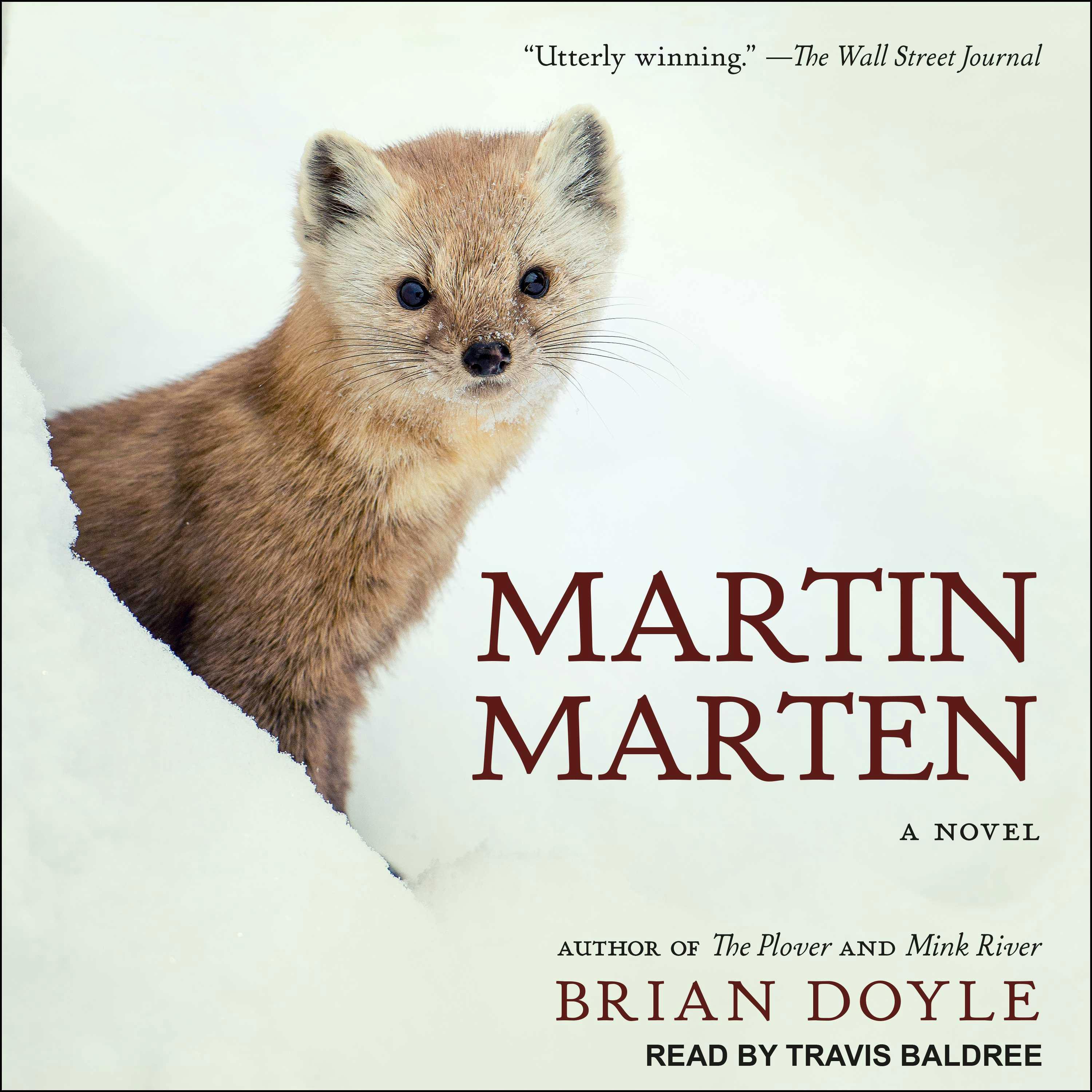 Martin Marten: A Novel - Brian Doyle