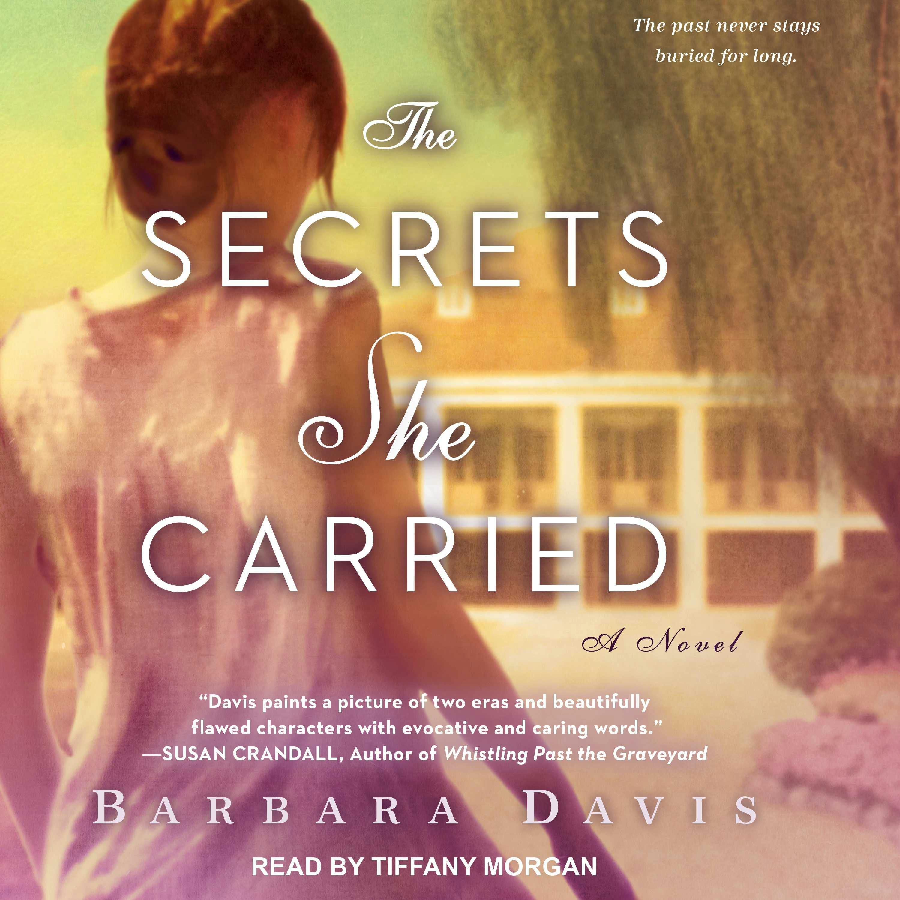 The Secrets She Carried: A Novel - Barbara Davis