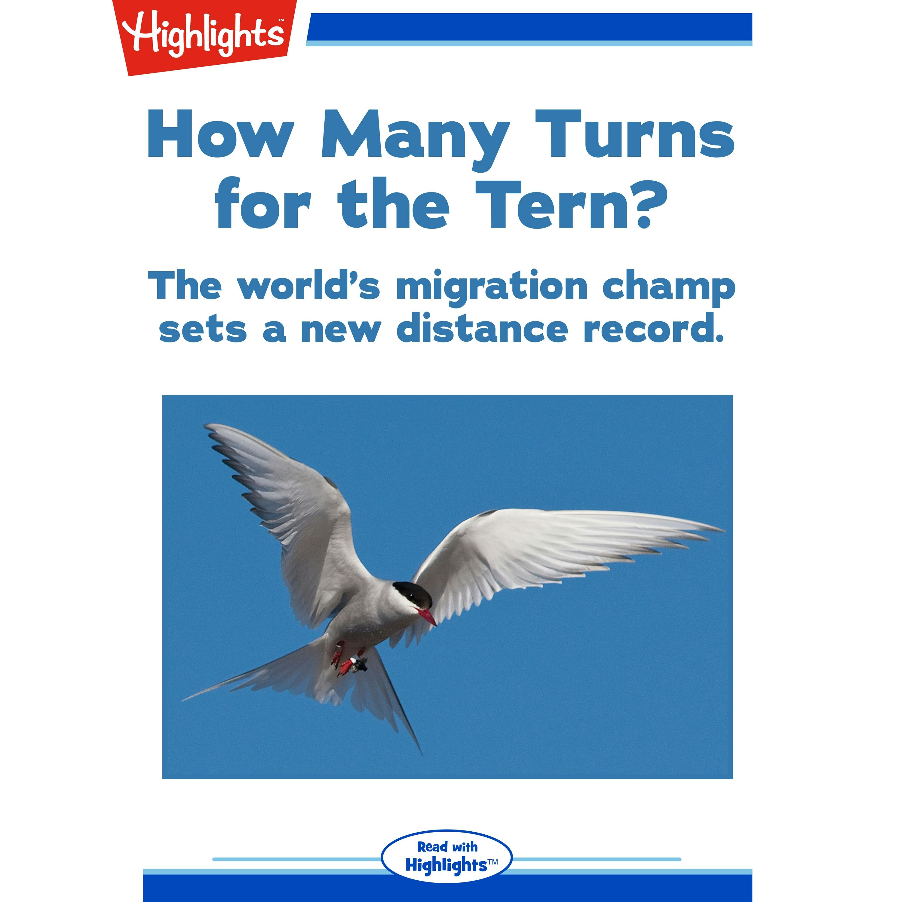 How Many Turns for the Tern? - Alison Pearce Stevens, Ph.D.