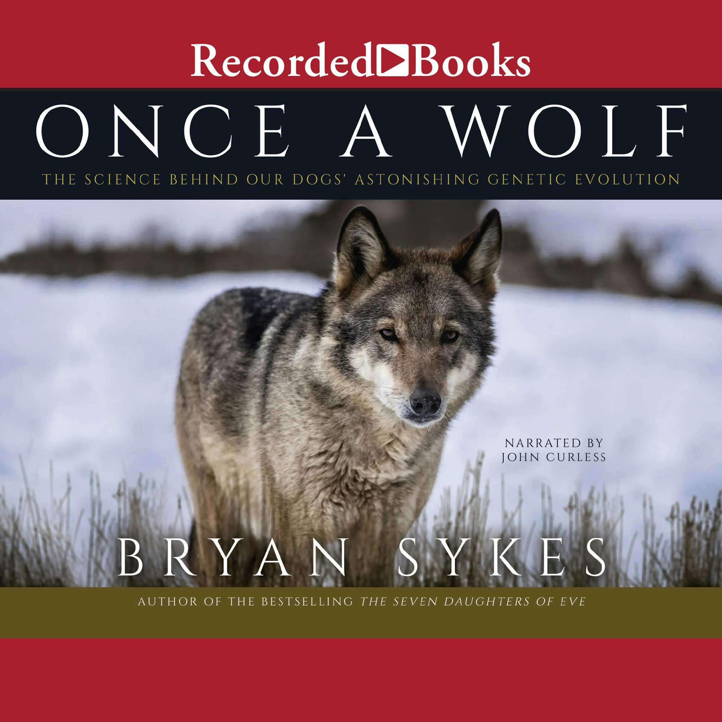 Once a Wolf: The Science Behind Our Dogs' Astonishing Genetic Evolution - Bryan Sykes