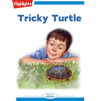 Tricky Turtle
