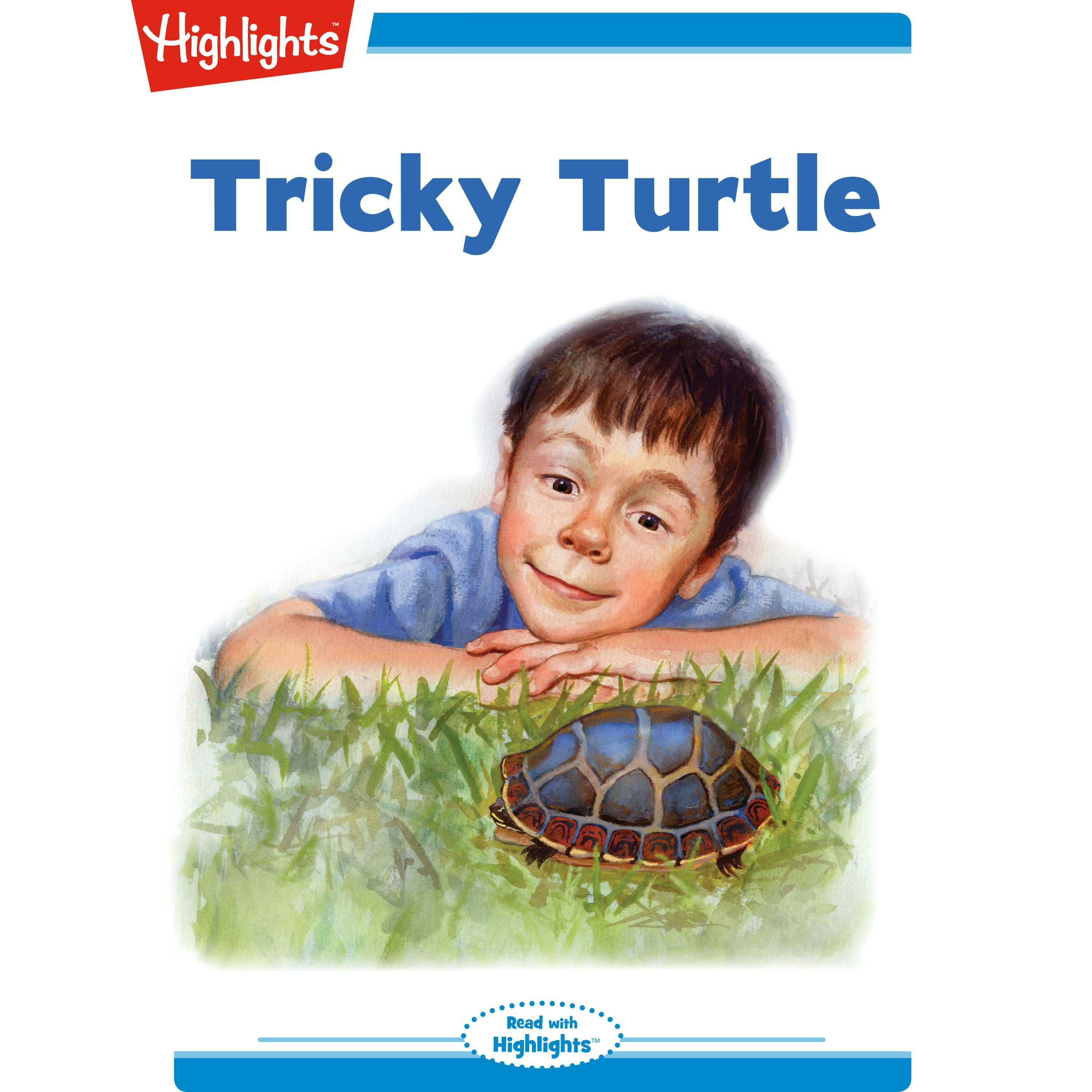 Tricky Turtle - Jeanne Barrett Hargett