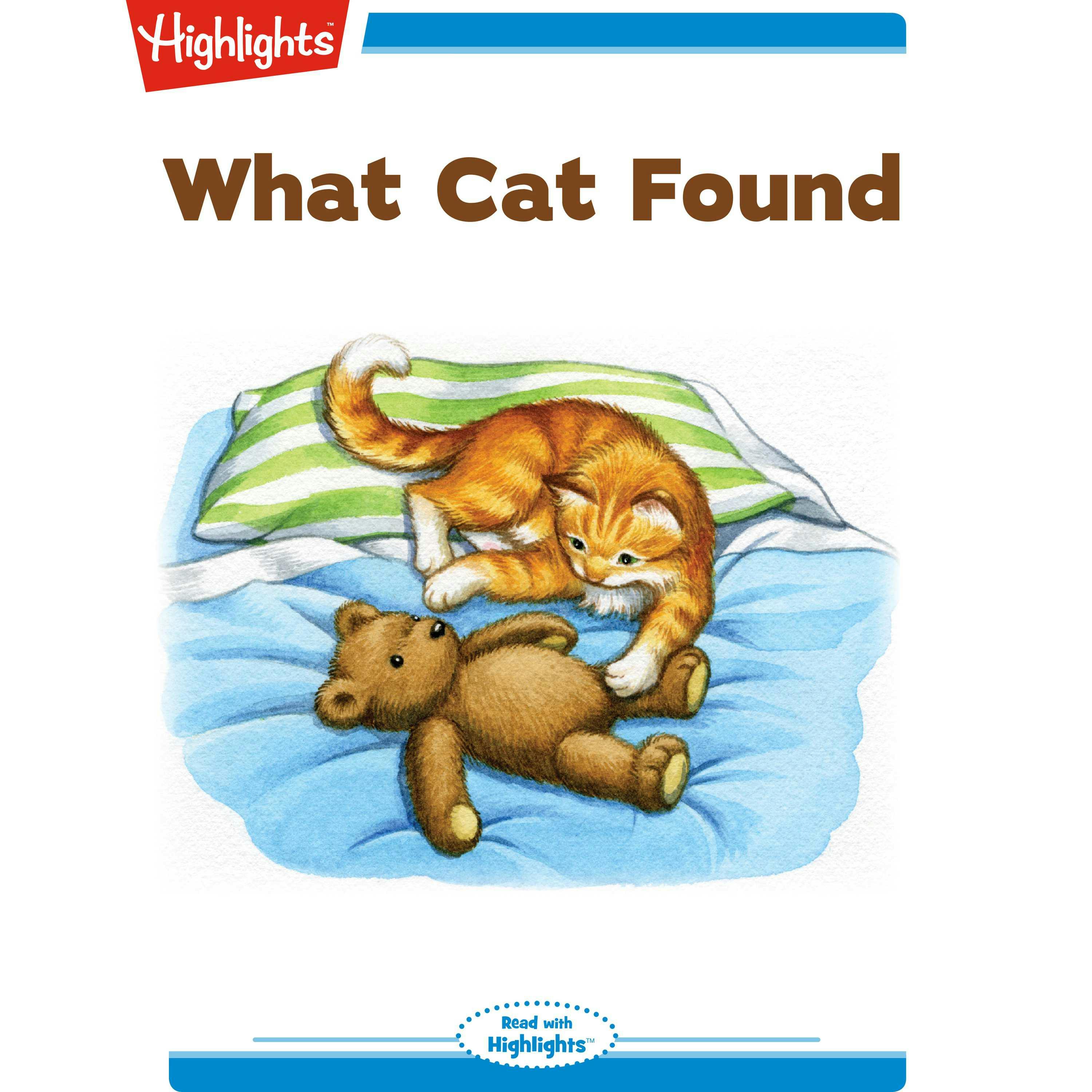 What Cat Found - Ann Ingalls