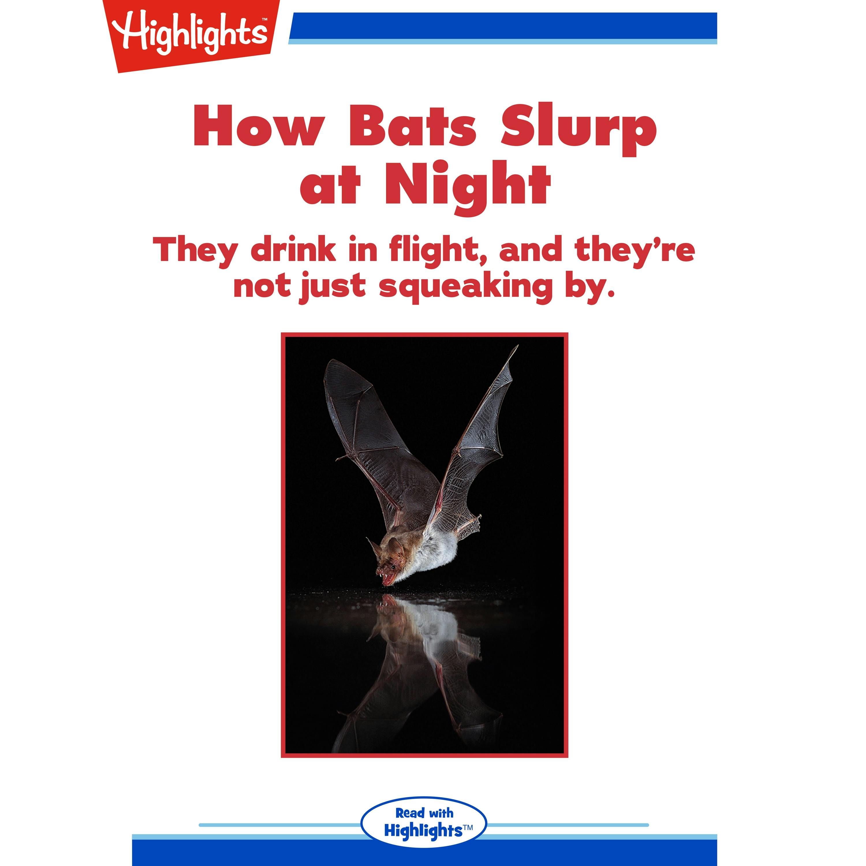 How Bats Slurp at Night - Alison Pearce Stevens, Ph.D.
