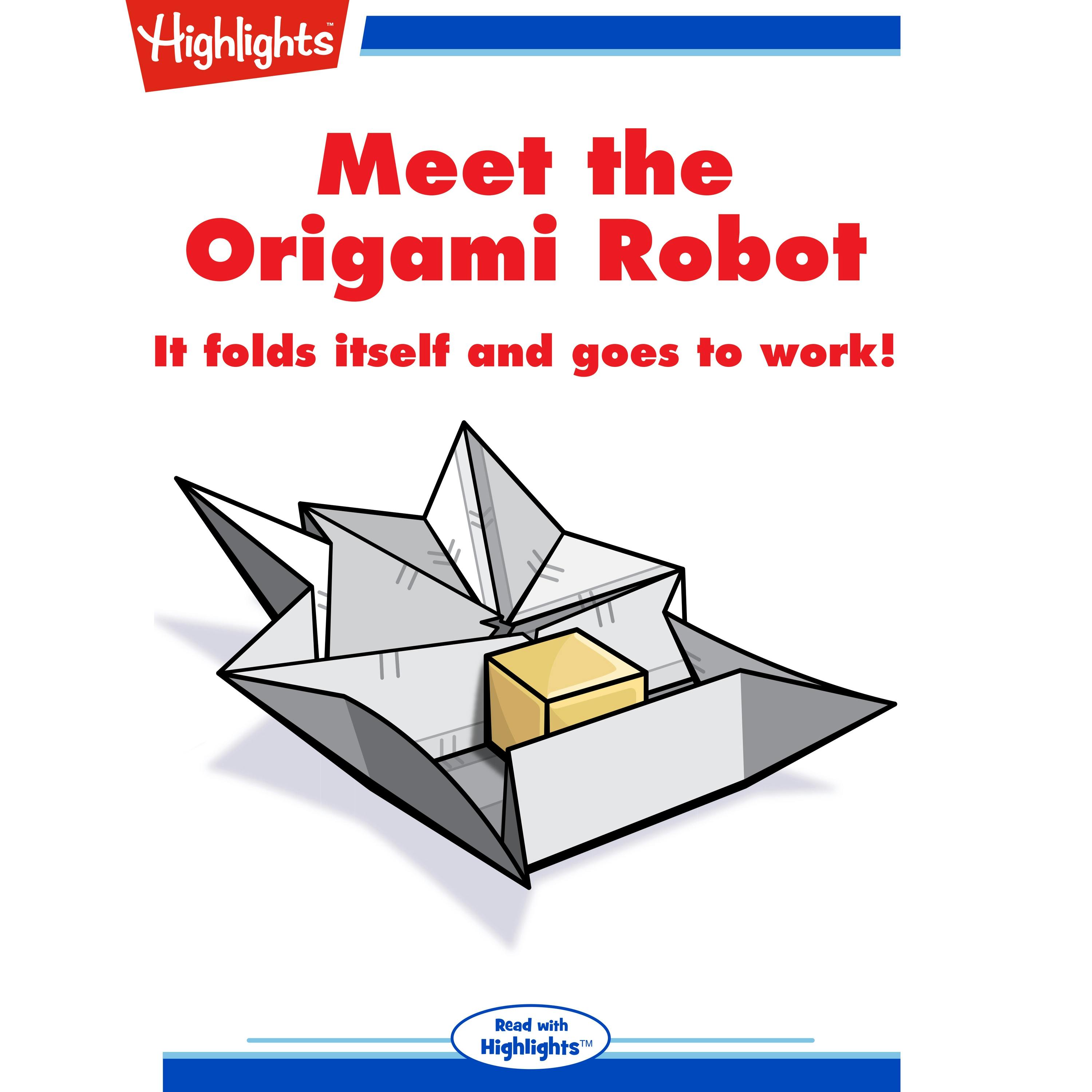Meet the Origami Robot - Andy Boyles