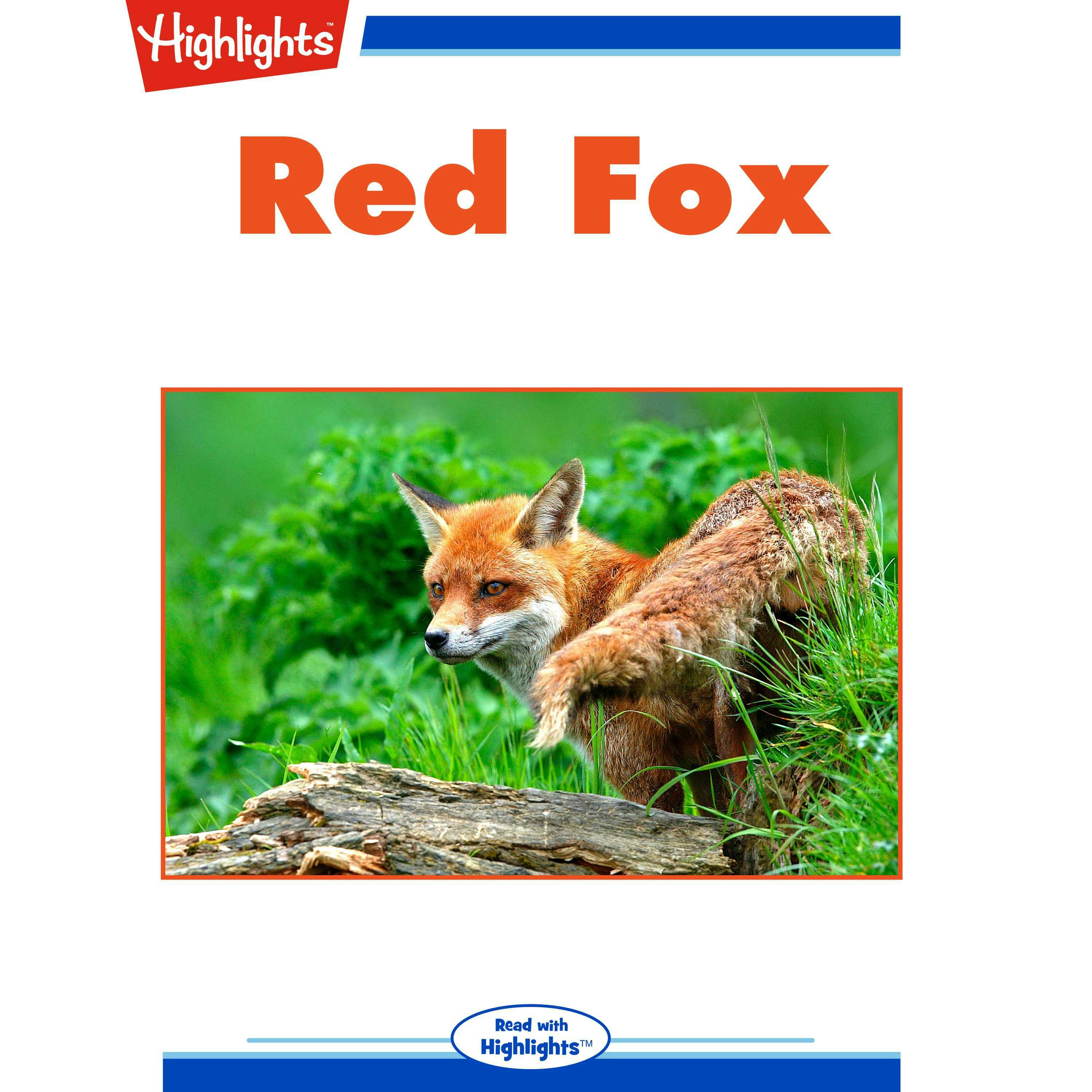 Red Fox - Pat Lessie