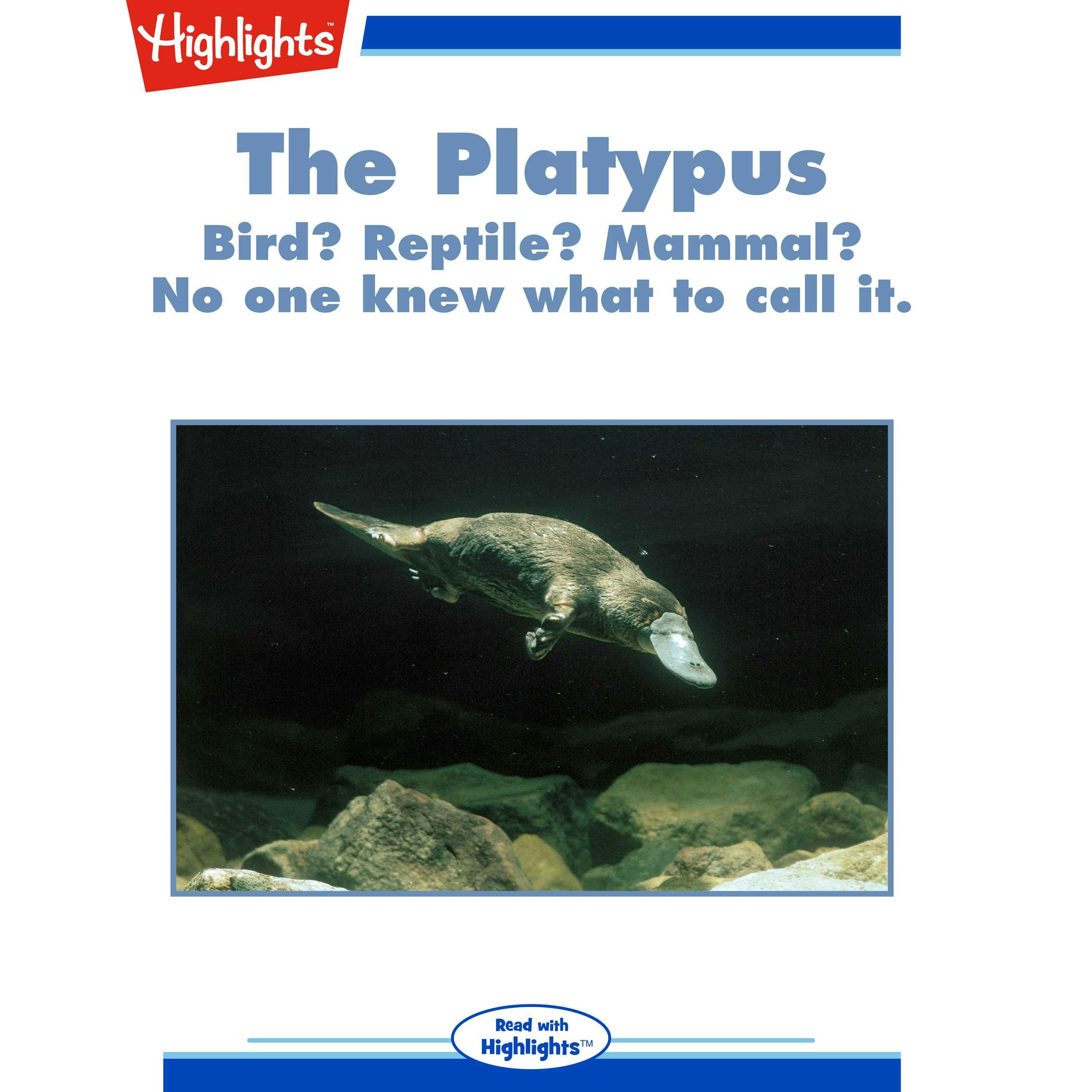 The Platypus - Jack Myers