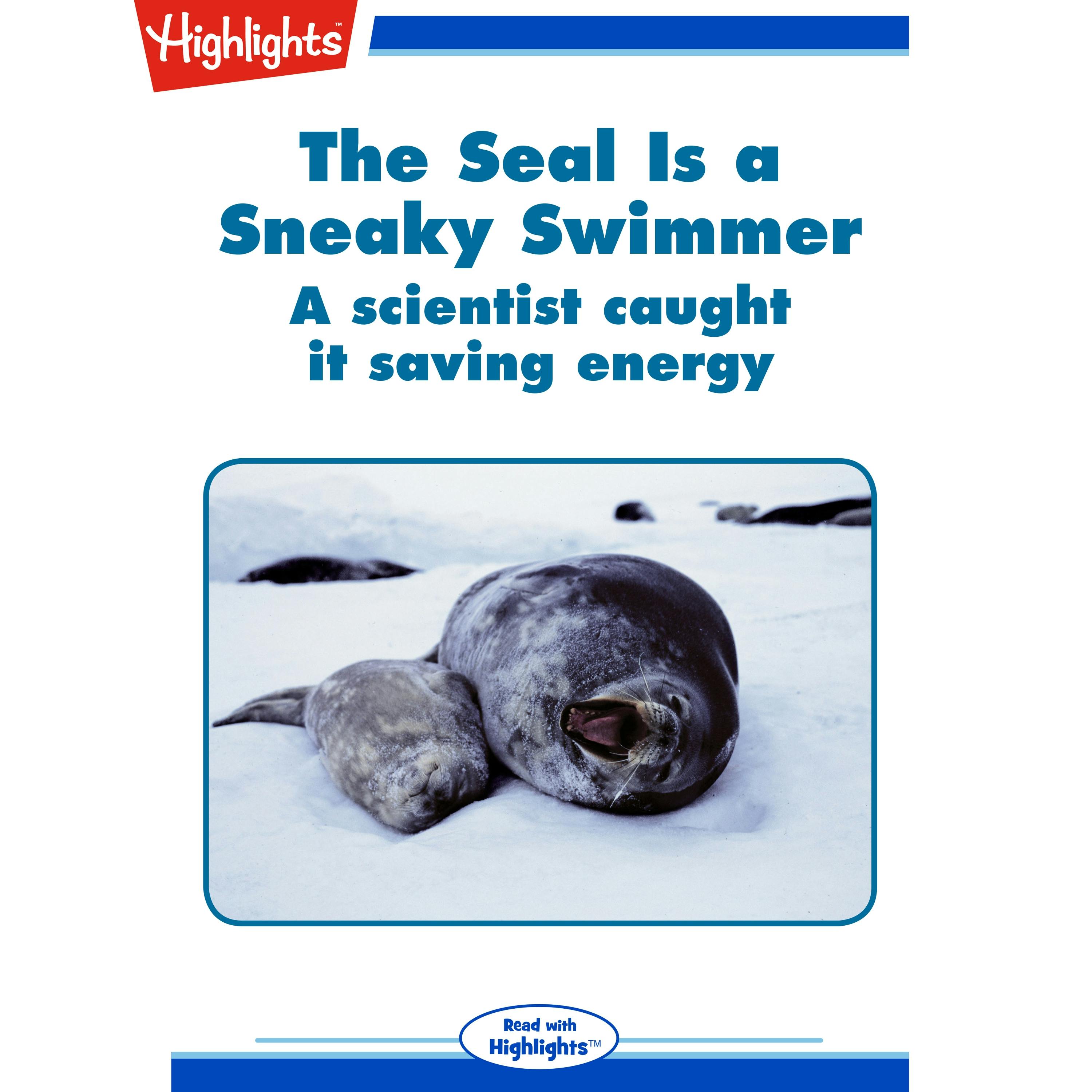 The Seal is a Sneaky Swimmer: A scientist caught it saving energy - Jack Myers
