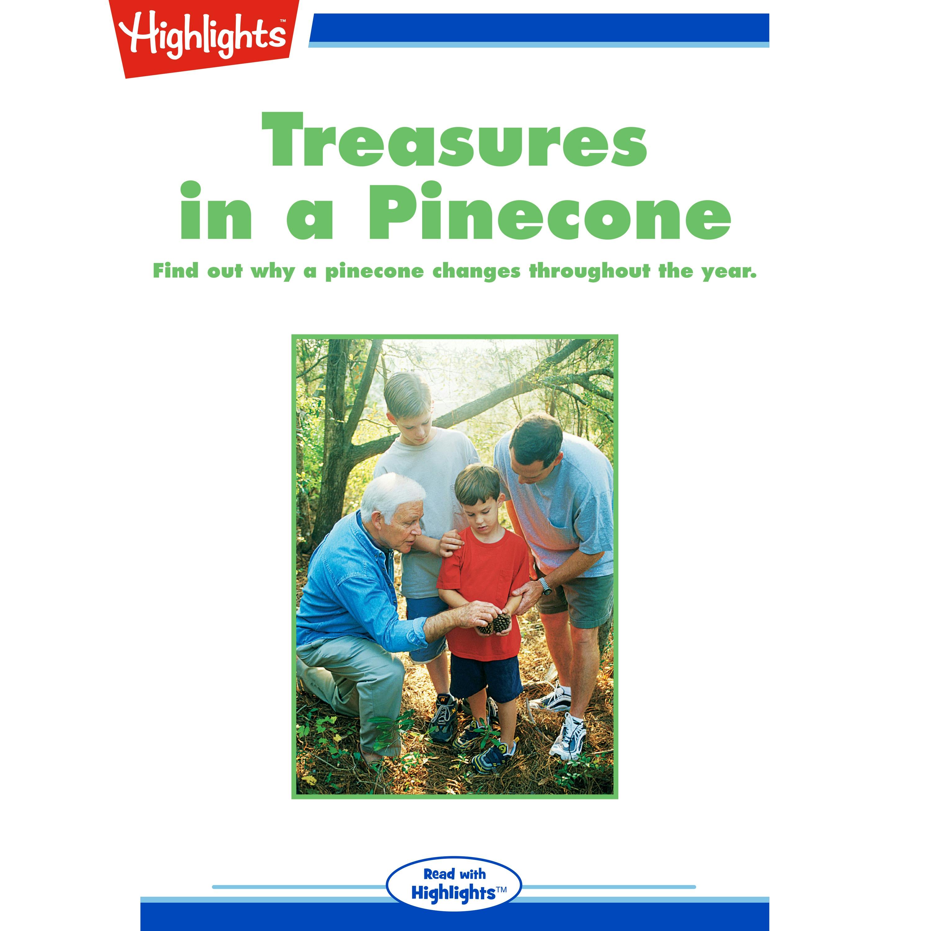 Treasures in a Pinecone - Jan Black
