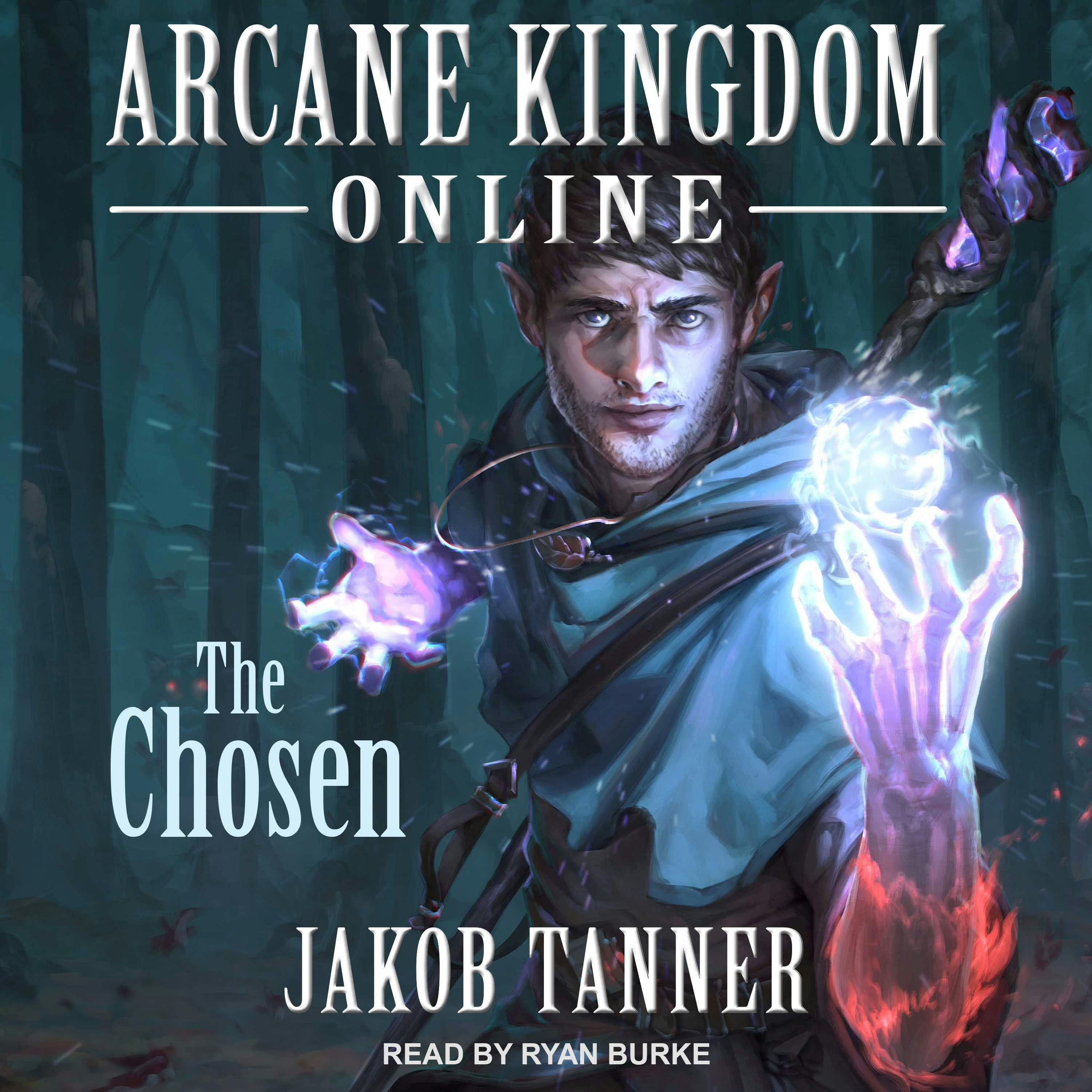 Arcane Kingdom Online: The Chosen: LitRPG Adventure Series, Book 1 - undefined