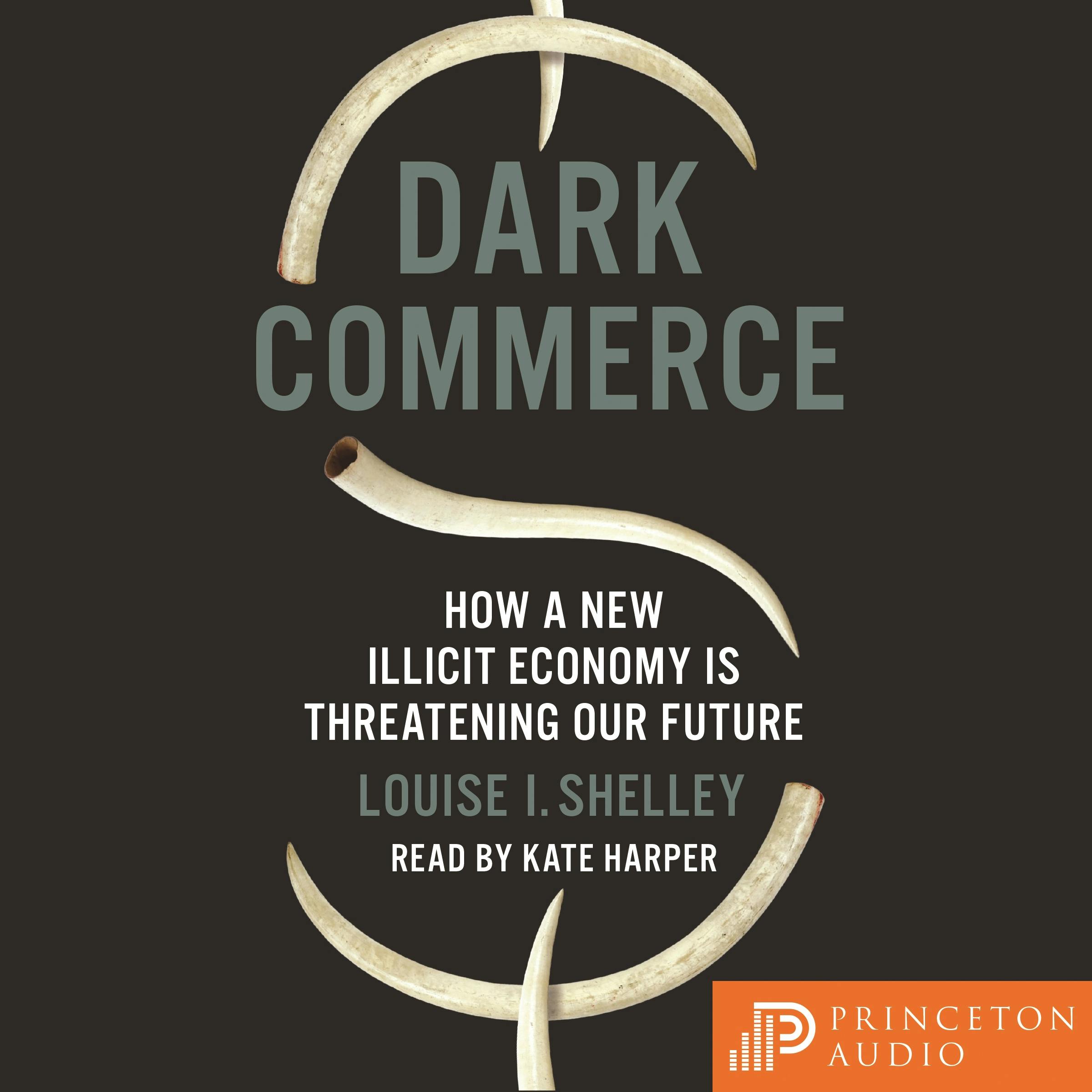 Dark Commerce: How a New Illicit Economy Is Threatening Our Future - undefined