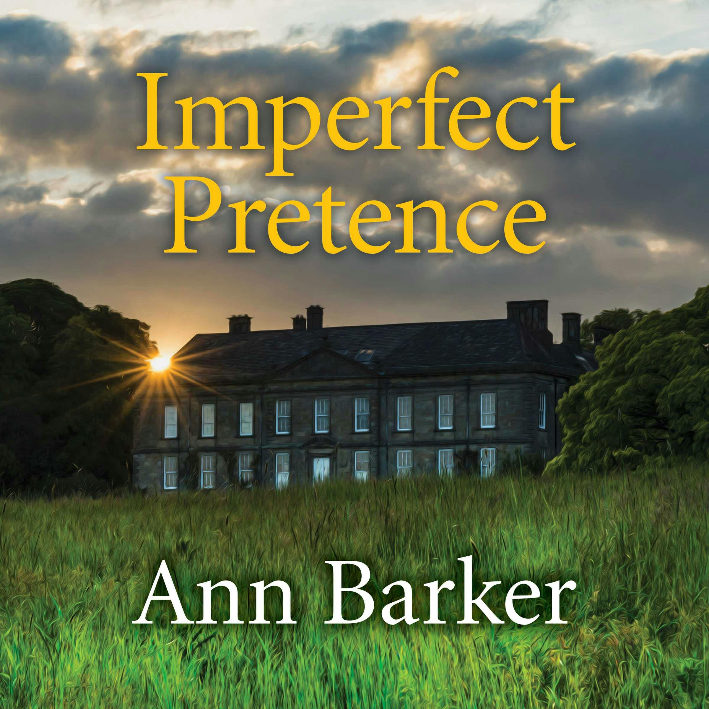 Imperfect Pretence - Ann Barker