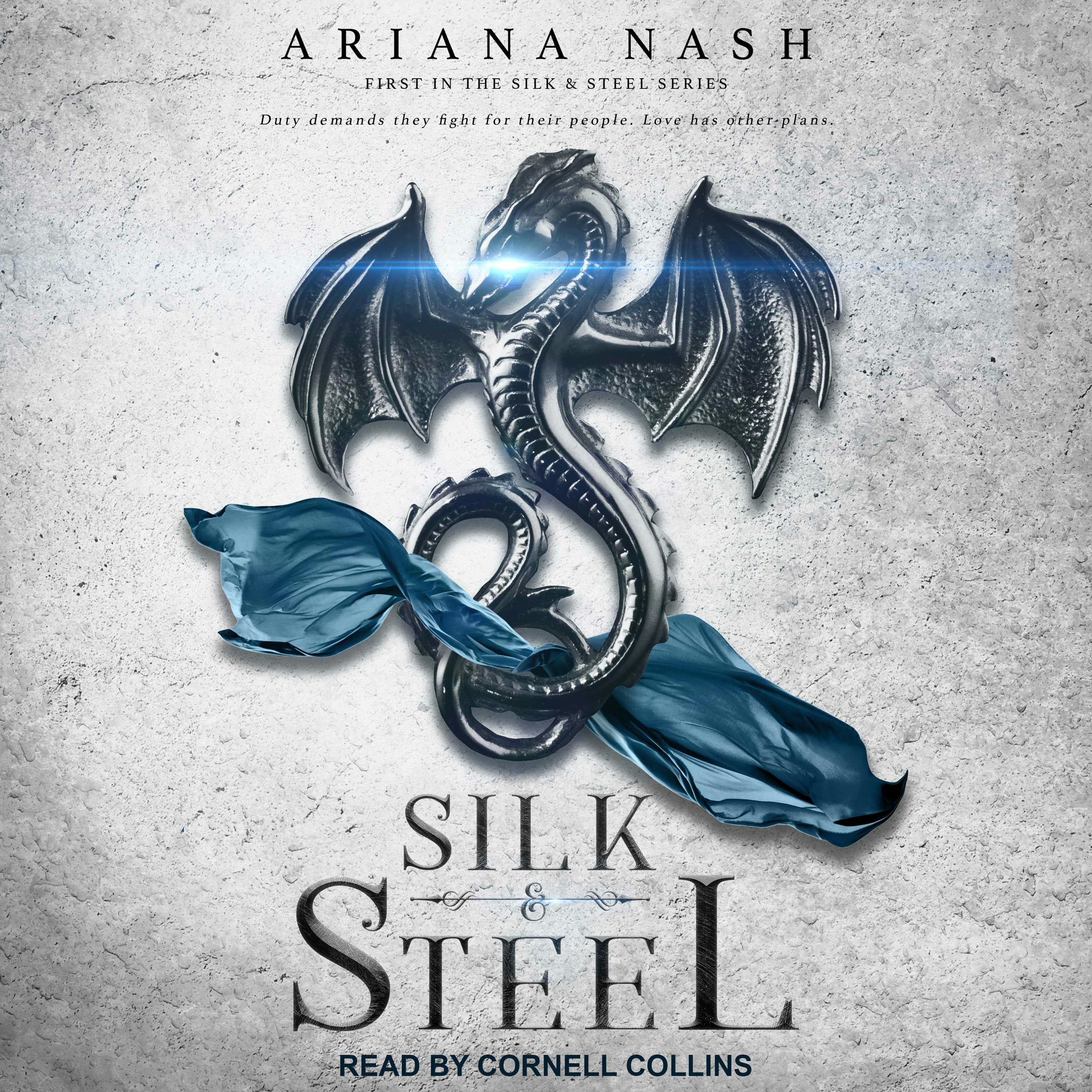 Silk & Steel: First In The Silk & Steel Series - Ariana Nash