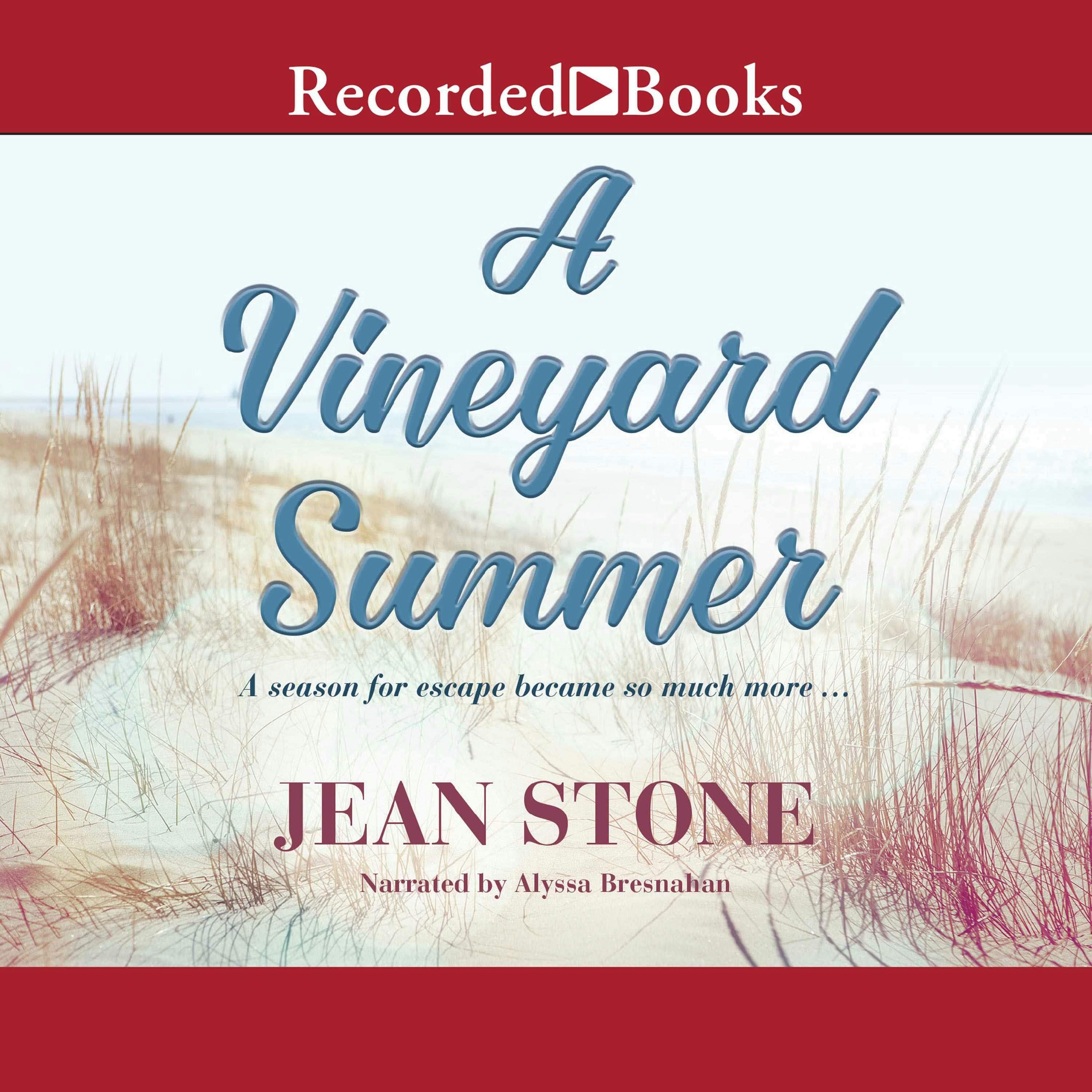 A Vineyard Summer - Jean Stone