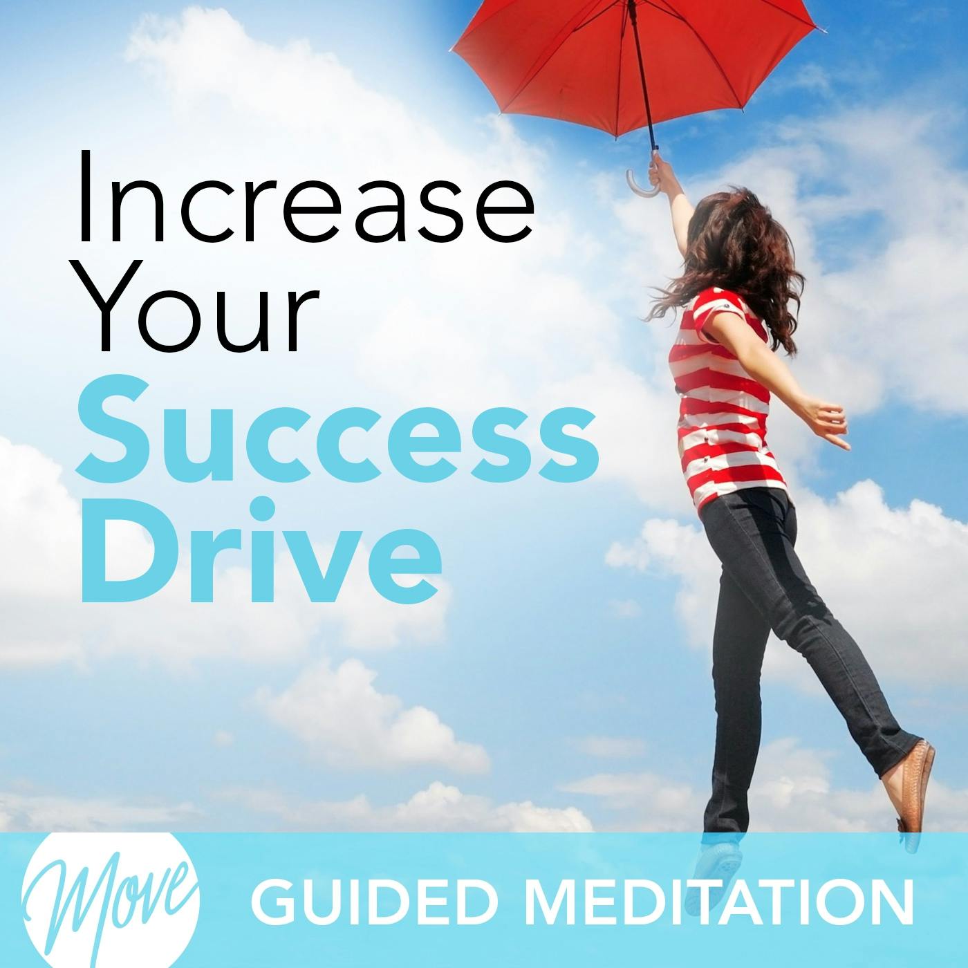 Increase Your Success Drive - Amy Applebaum