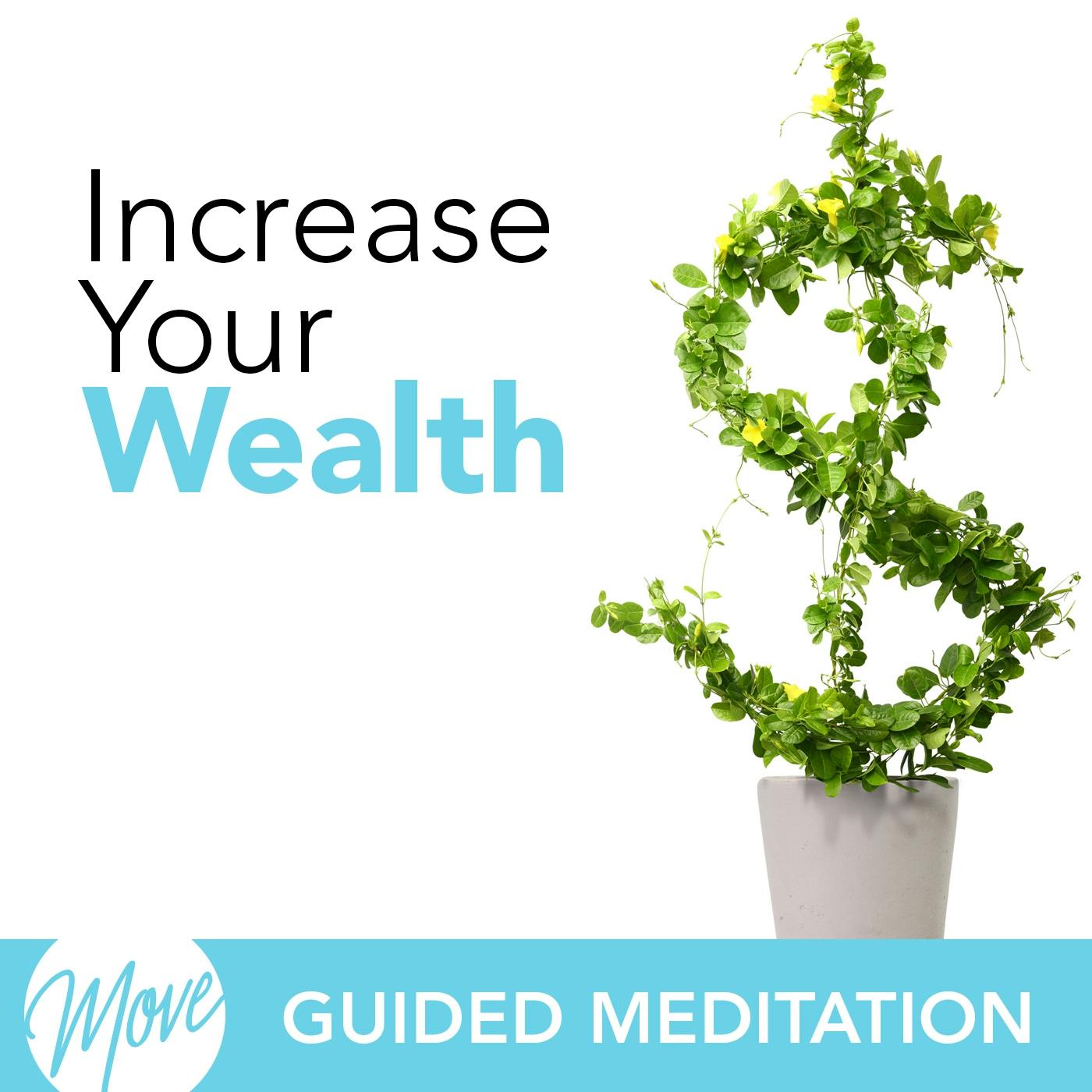 Increase Your Wealth - Amy Applebaum