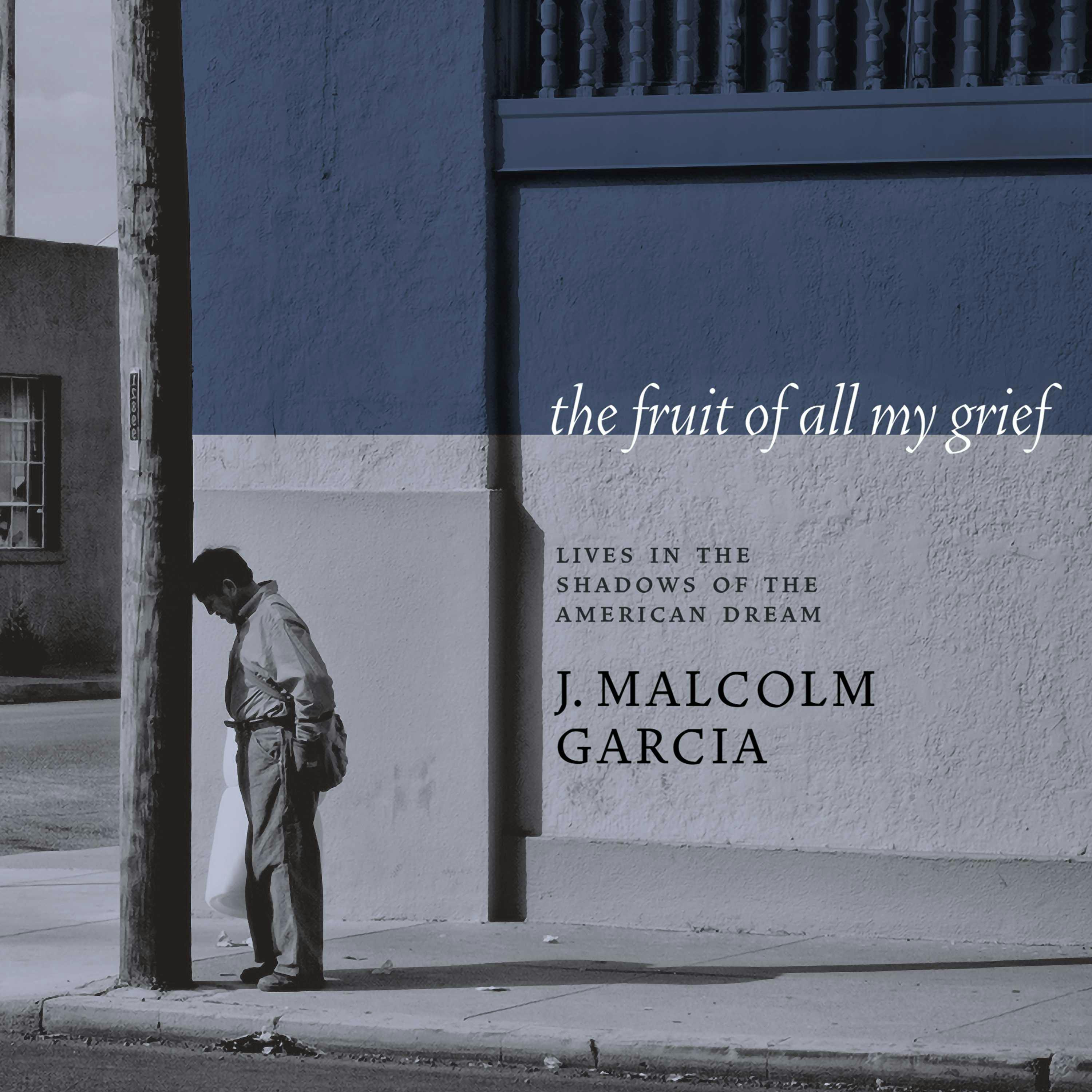 The Fruit of All My Grief: Lives in the Shadows of the American Dream - J. Malcolm Garcia