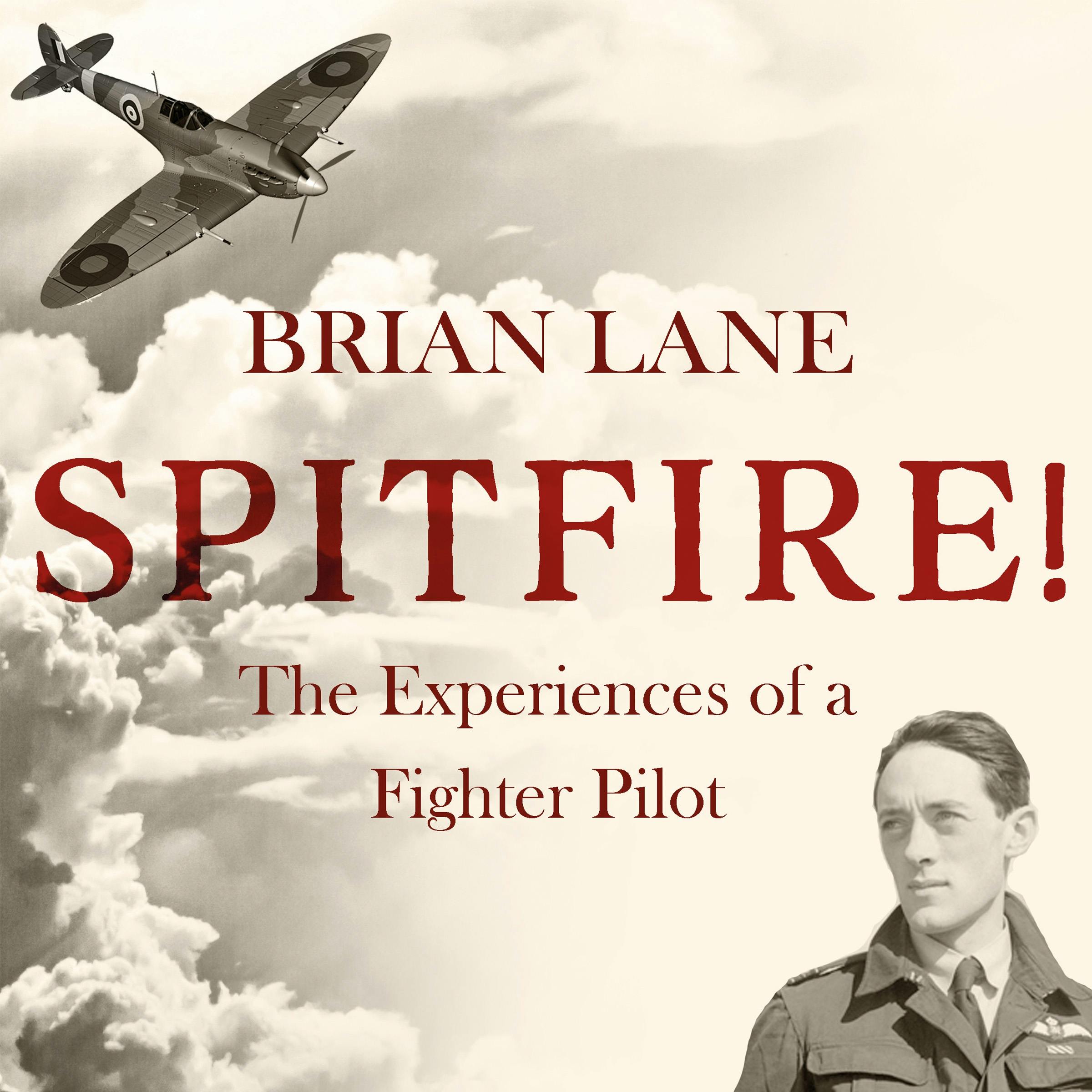 Spitfire: The Experiences of a Battle of Britain Fighter Pilot - Brian Lane