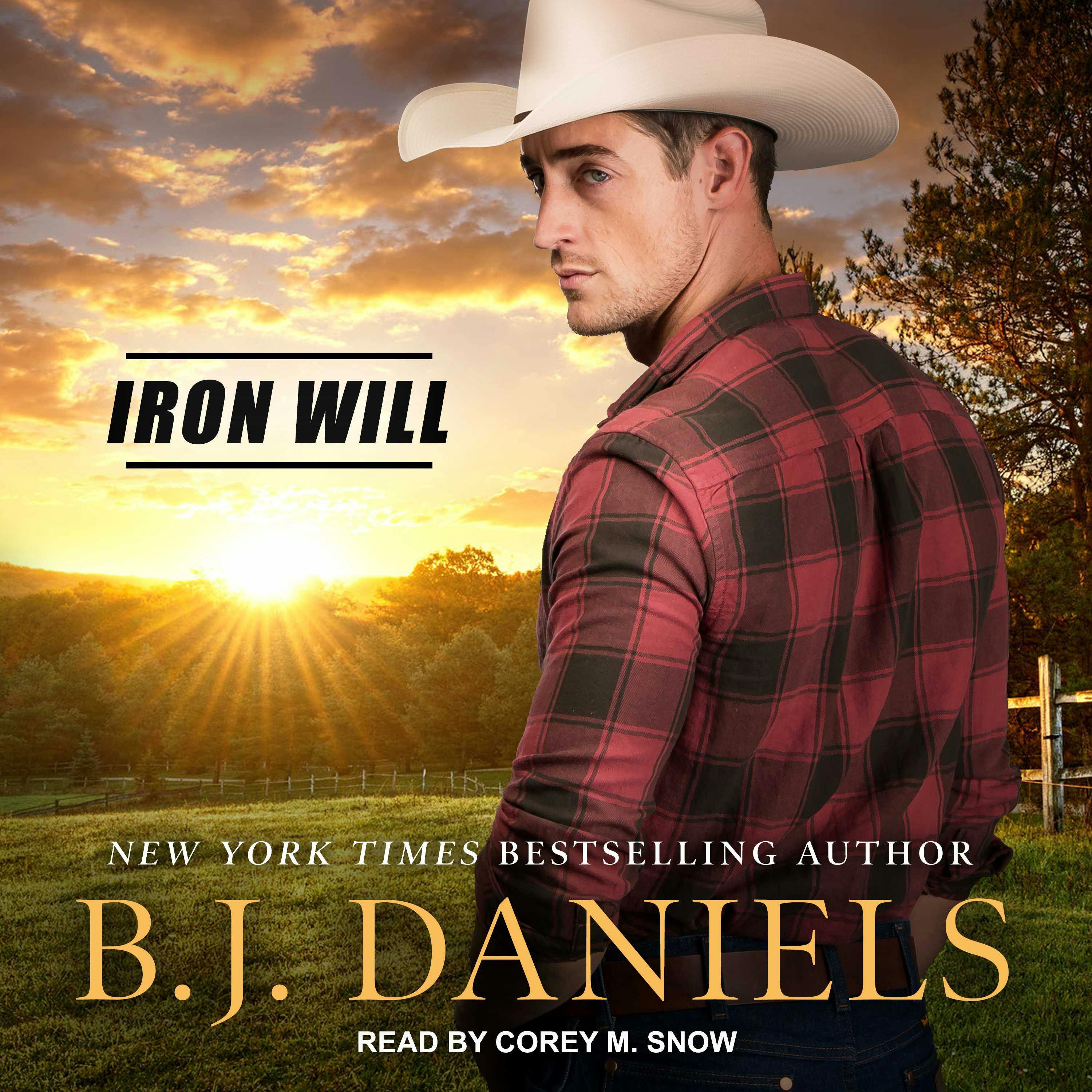 Iron Will - B.J. Daniels