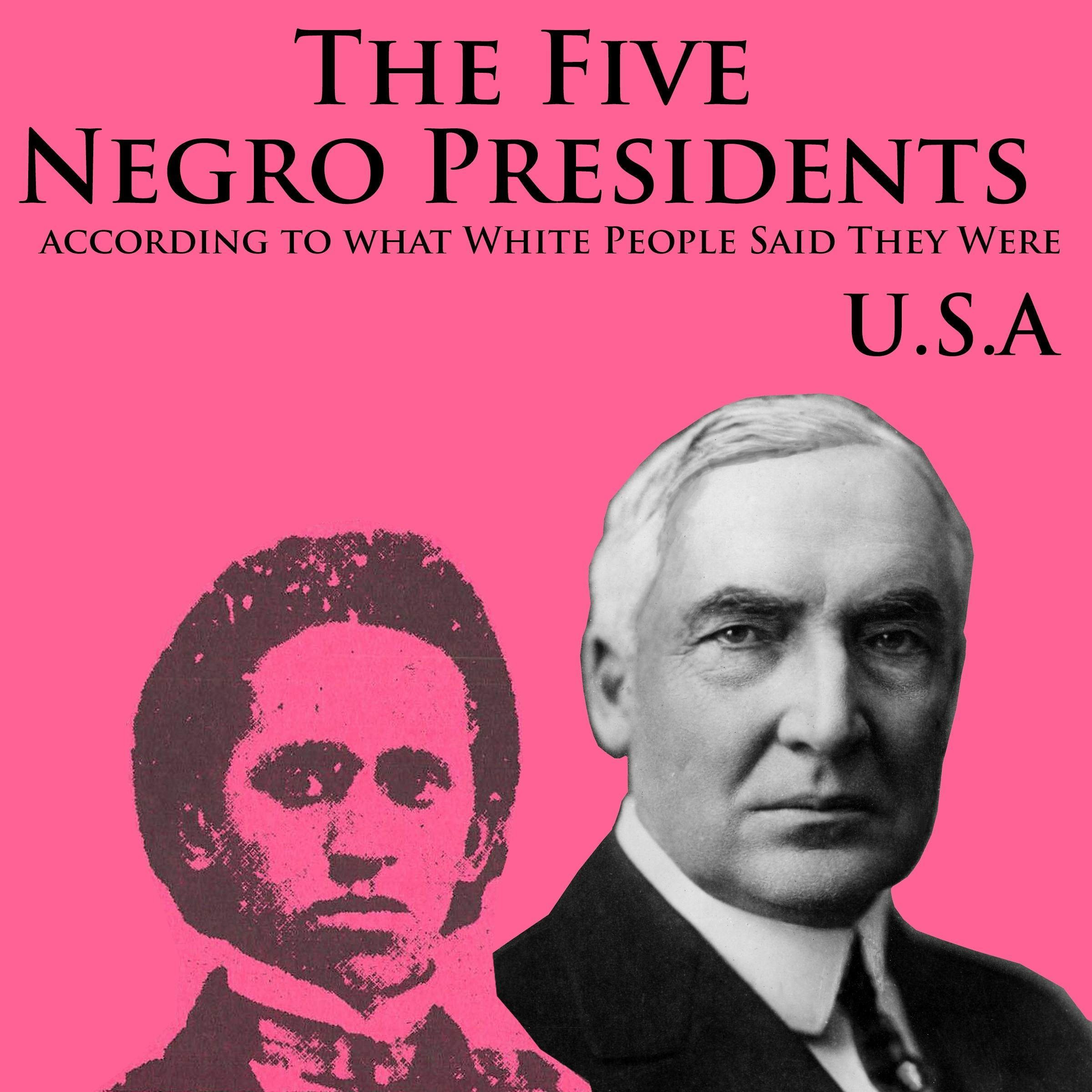The Five Negro Presidents: According to what White People Said They Were - undefined