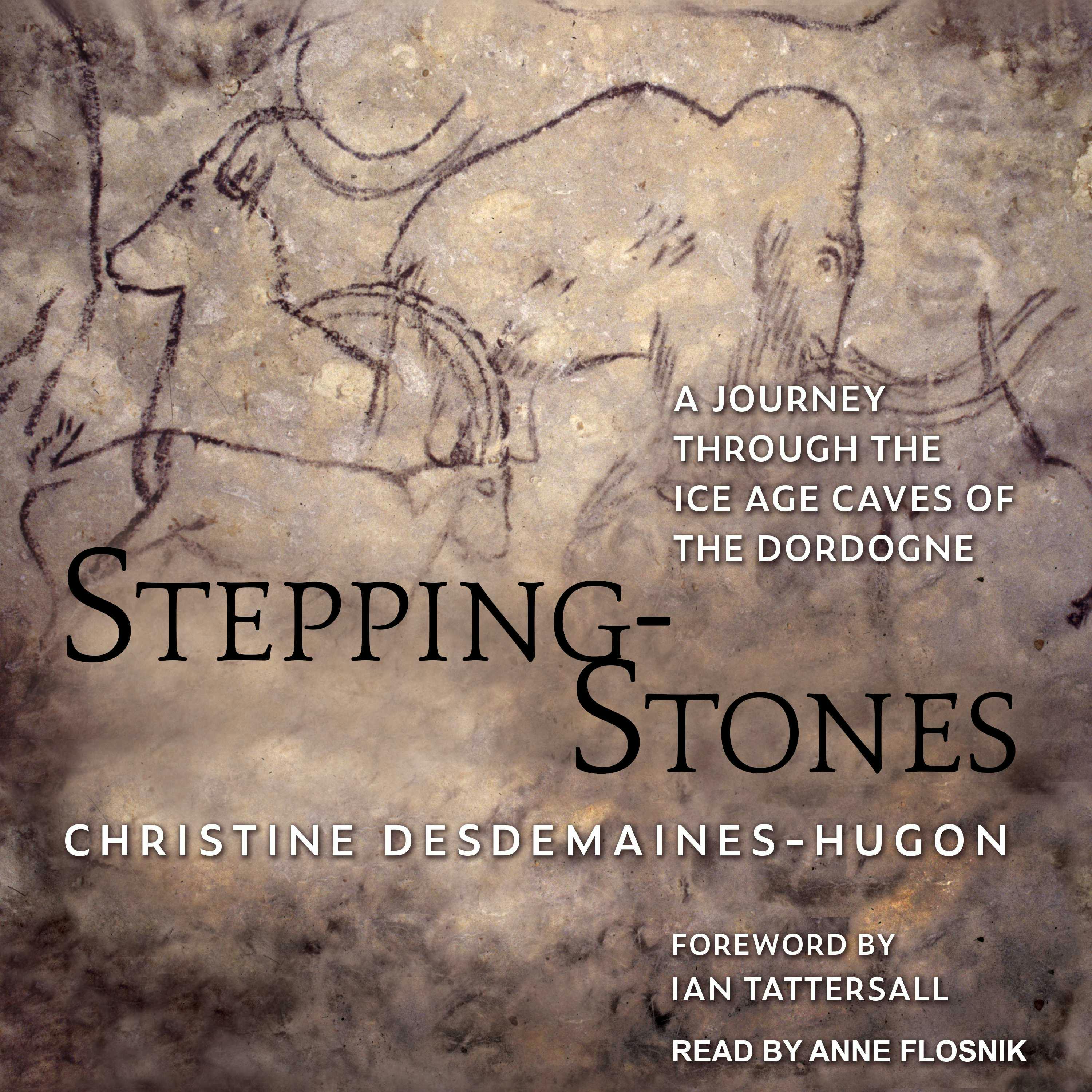 Stepping-Stones: A Journey Through The Ice Age Caves Of The Dordogne - undefined