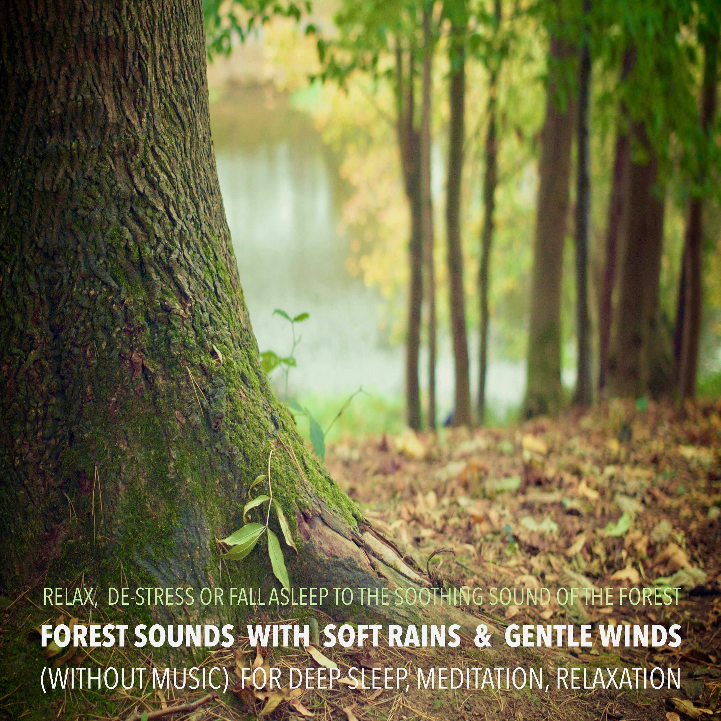 Forest Sounds with Soft Rains & Gentle Winds (without music) for Deep Sleep, Meditation, Relaxation: Relax, De-stress Or Fall Asleep To The Soothing Sounds Of Nature - undefined