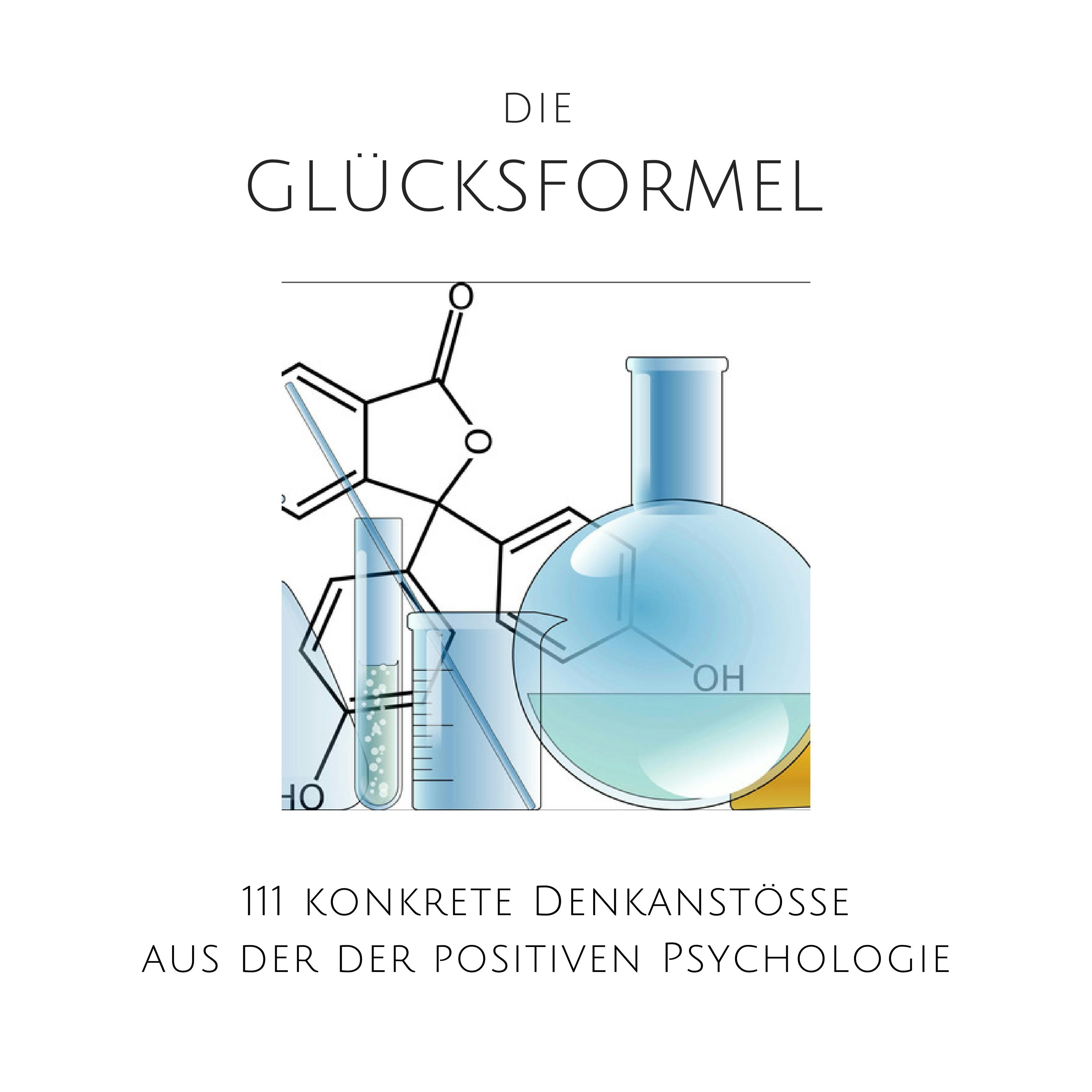 Die Glücksformel: 111 konkrete Denkanstöße aus der positiven Psychologie: Glück, Zufriedenheit, Erfolg, Optimismus, Geborgenheit, Vertrauen, positives Denken - undefined