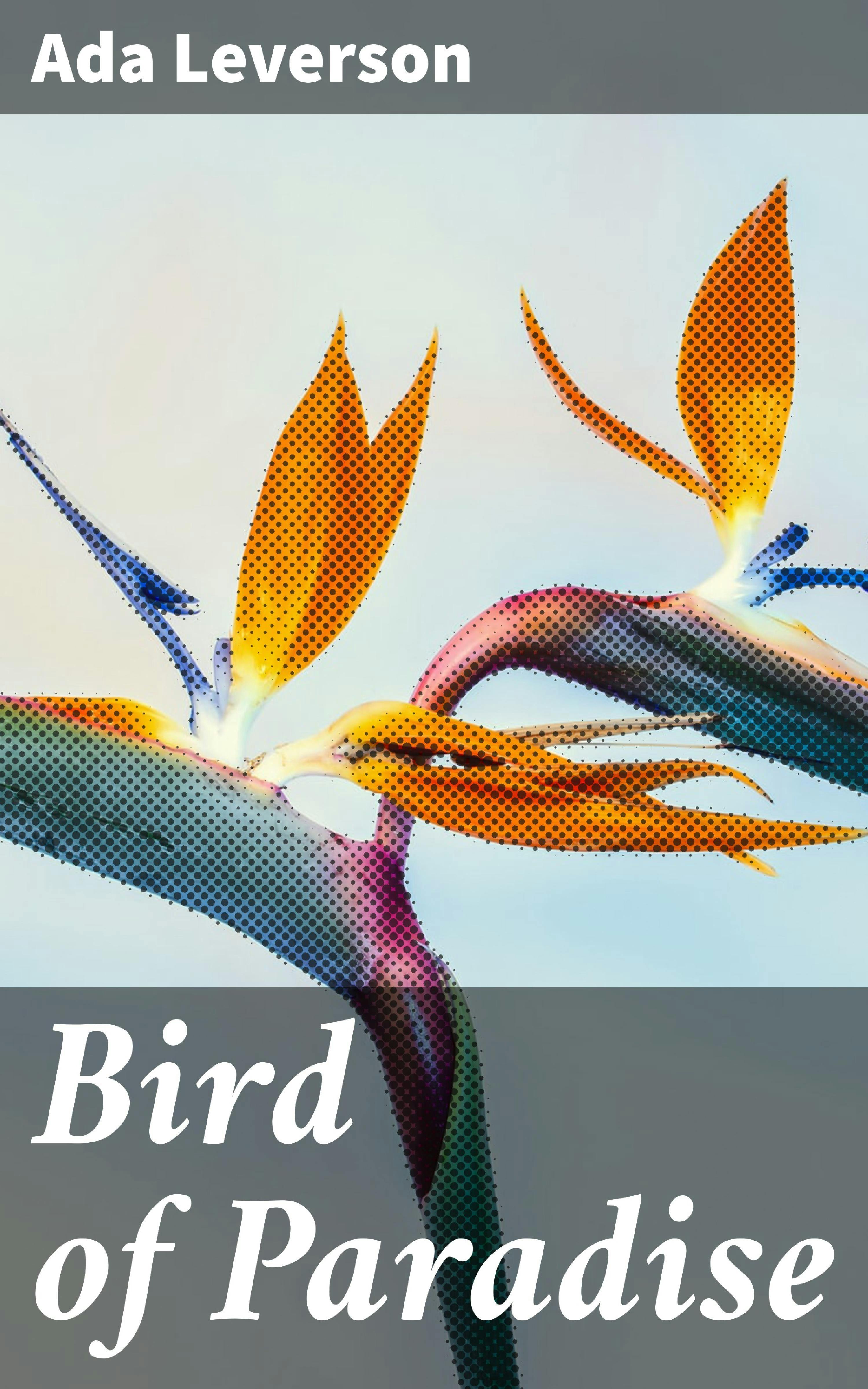 Bird of Paradise - undefined