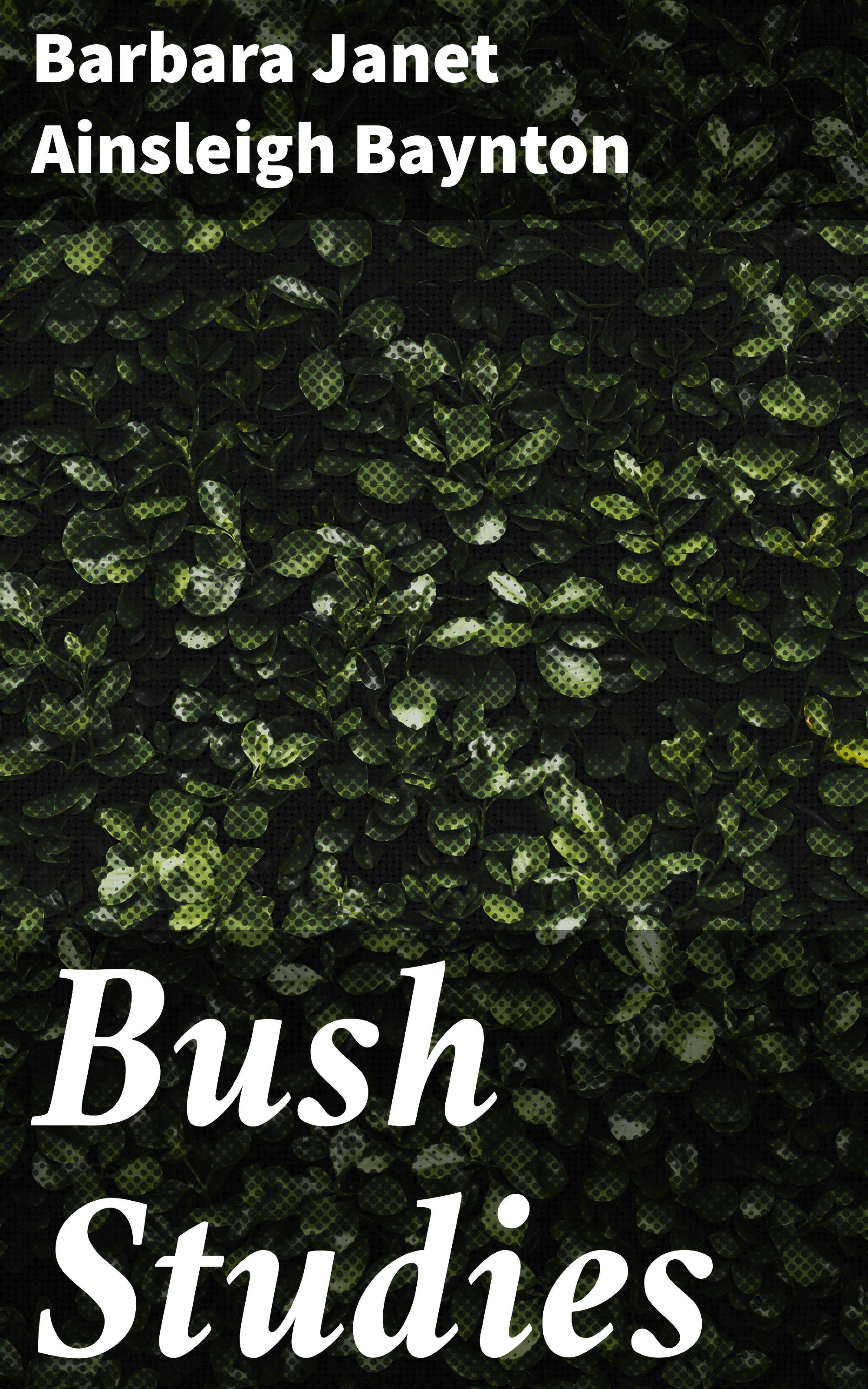 Bush Studies - Barbara Janet Ainsleigh Baynton