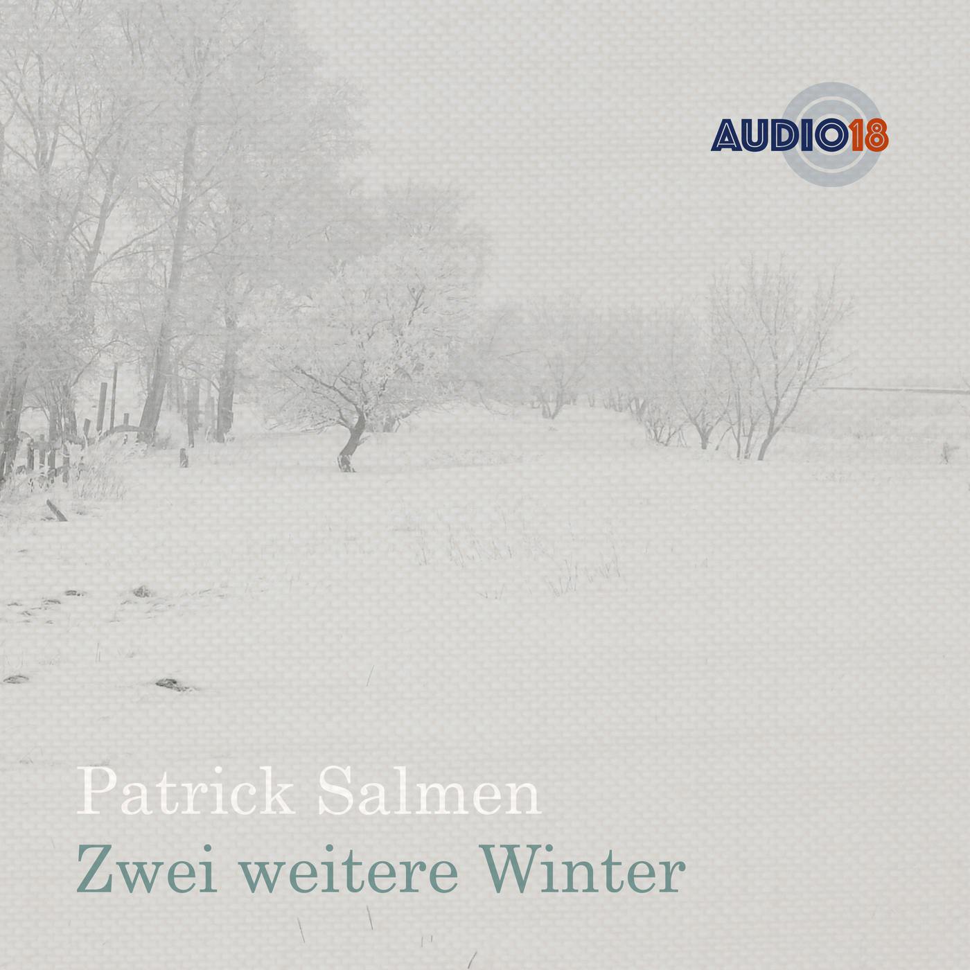 Zwei weitere Winter (Gekürzt) - Patrick Salmen