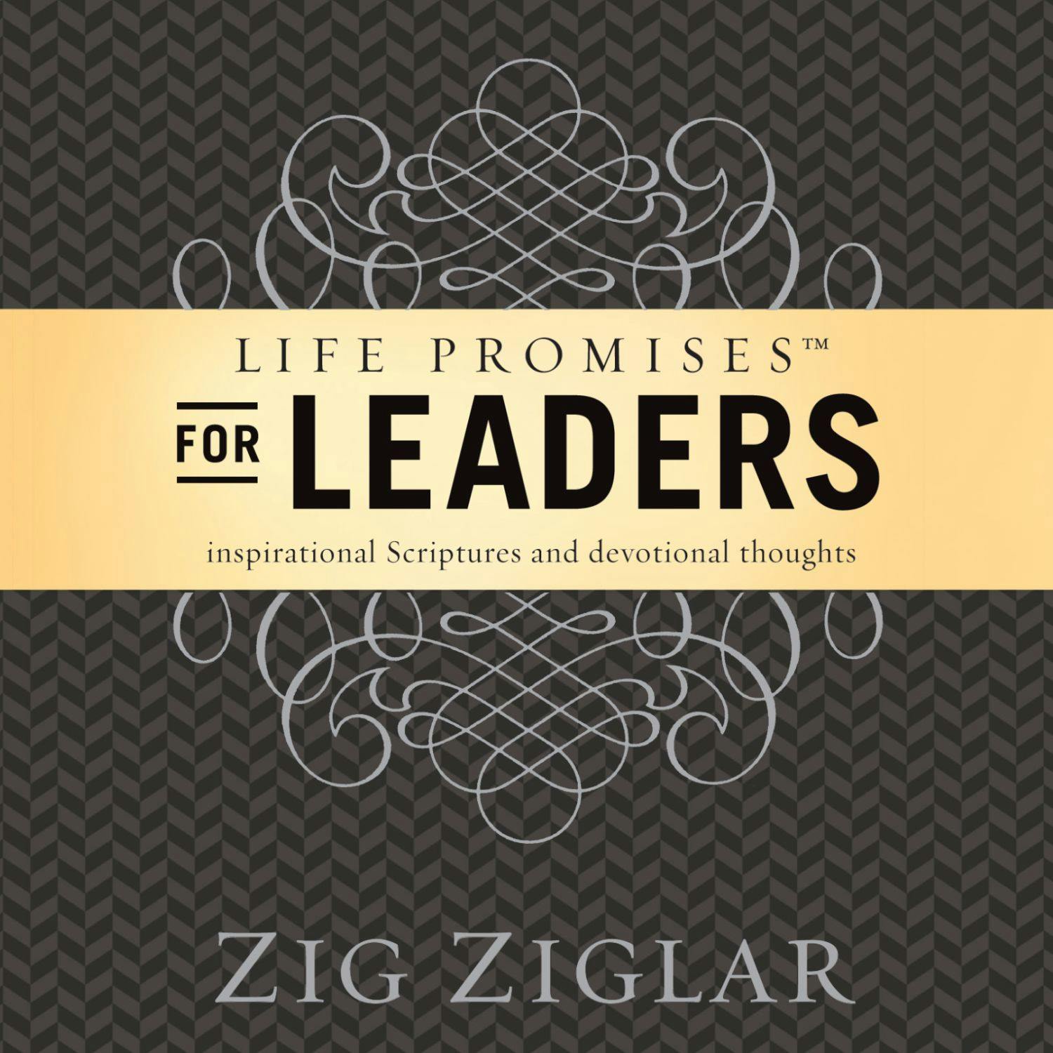 Life Promises for Leaders: Inspirational Scriptures and Devotional Thoughts - undefined