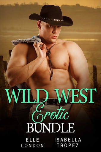 Wild West Erotic Bundle