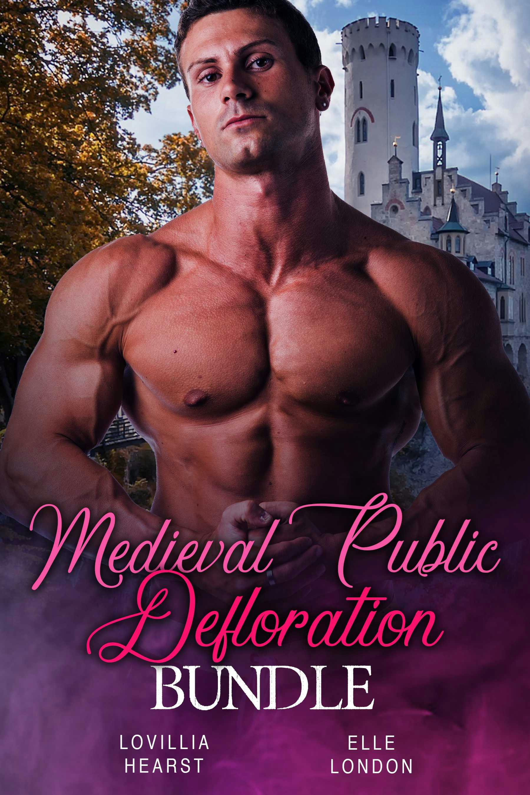 Medieval Public Defloration Bundle - undefined