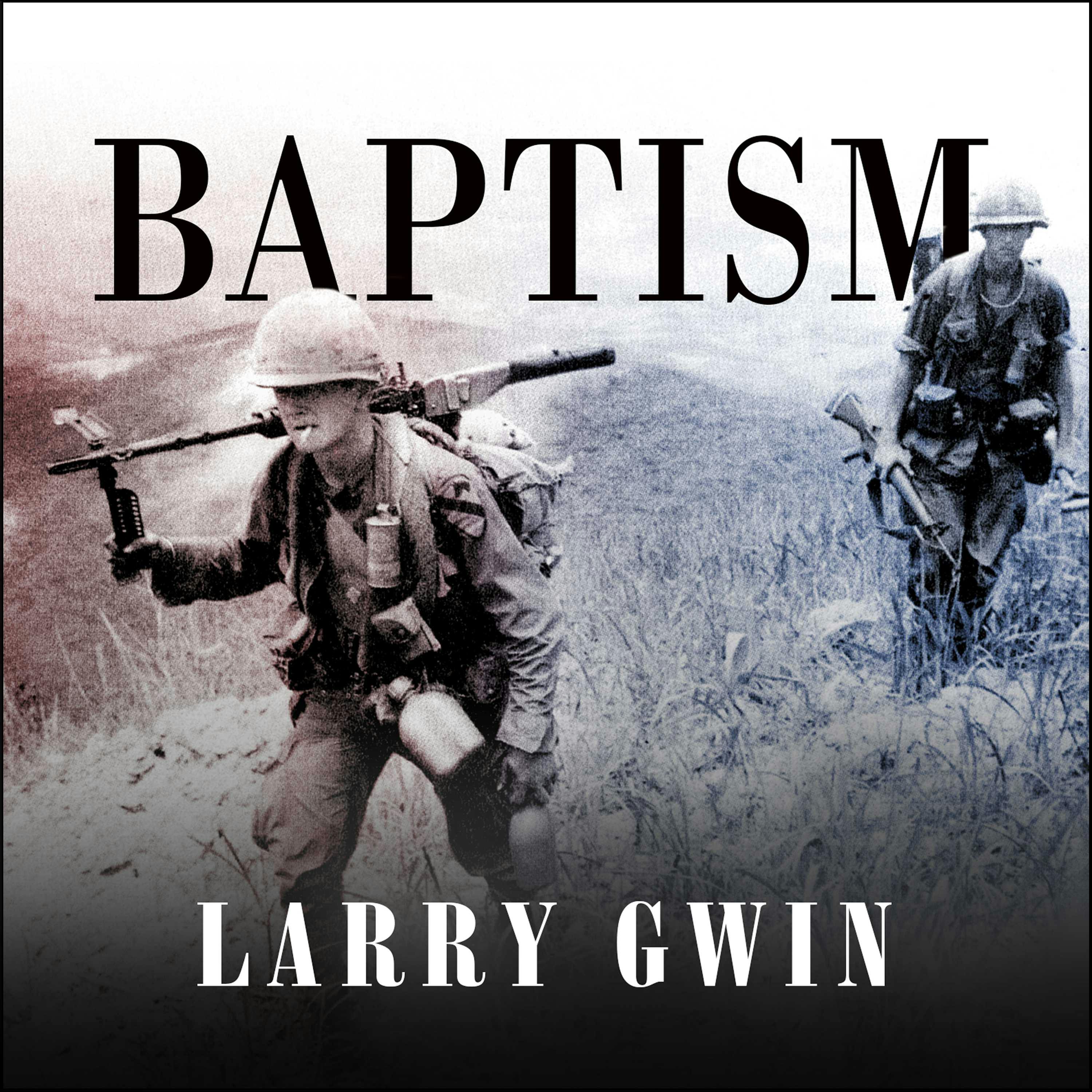 Baptism: A Vietnam Memoir - Larry Gwin