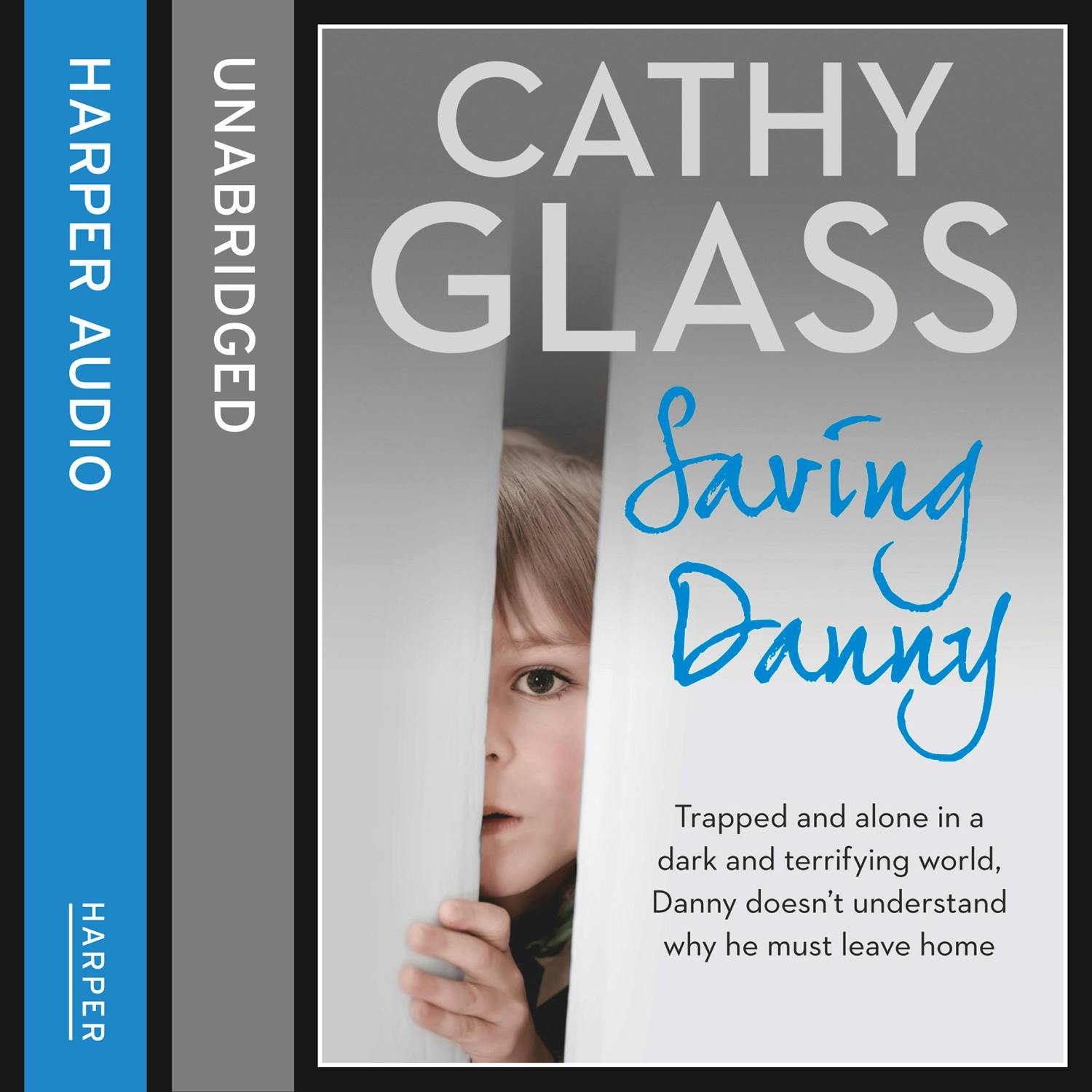 Saving Danny - Cathy Glass