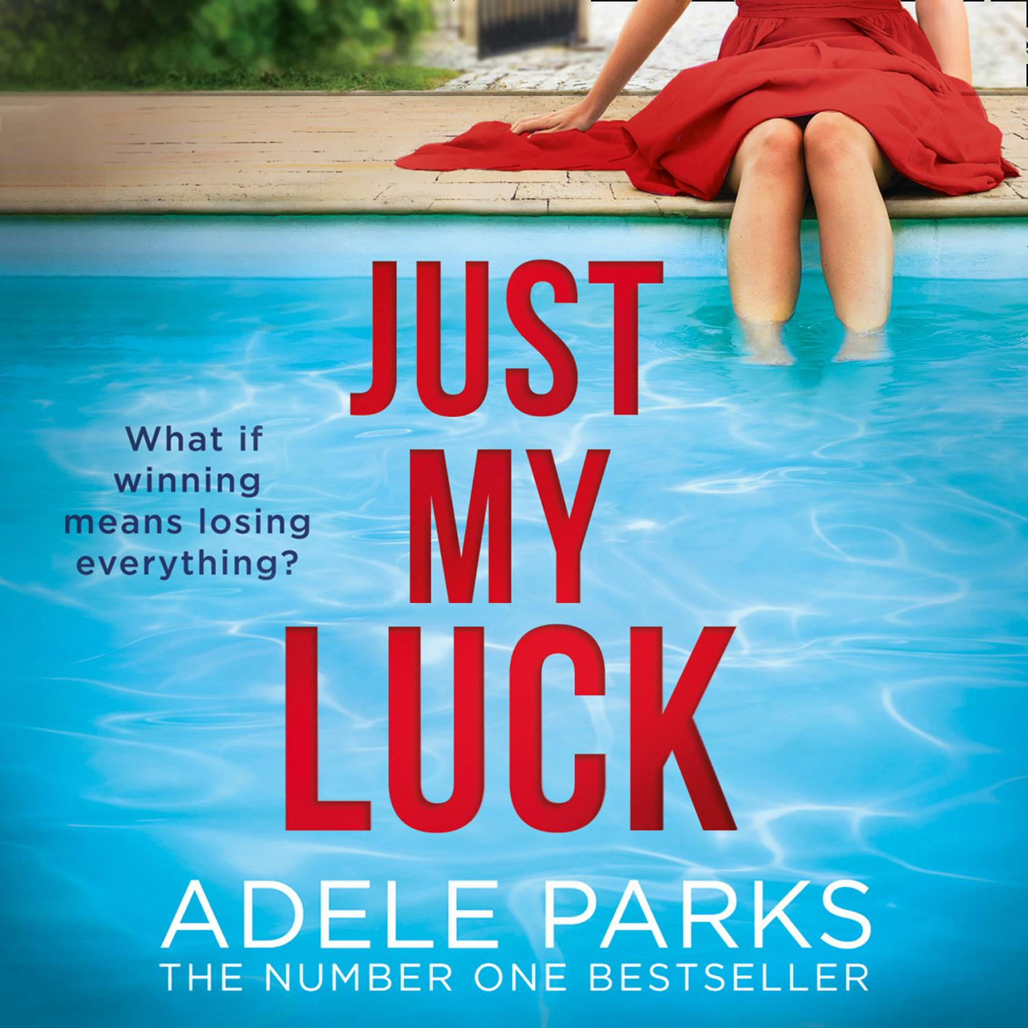 Just My Luck - Adele Parks